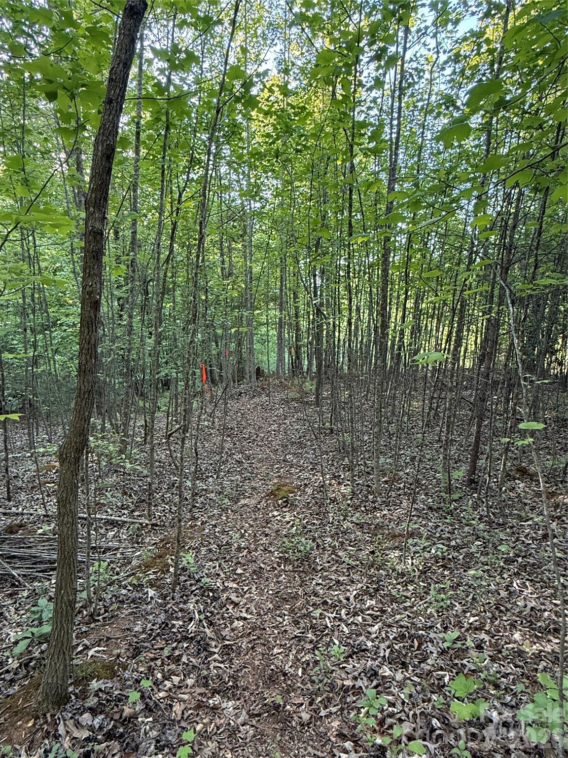 Lot # 7 West Legacy Drive 7 Property Photo 20