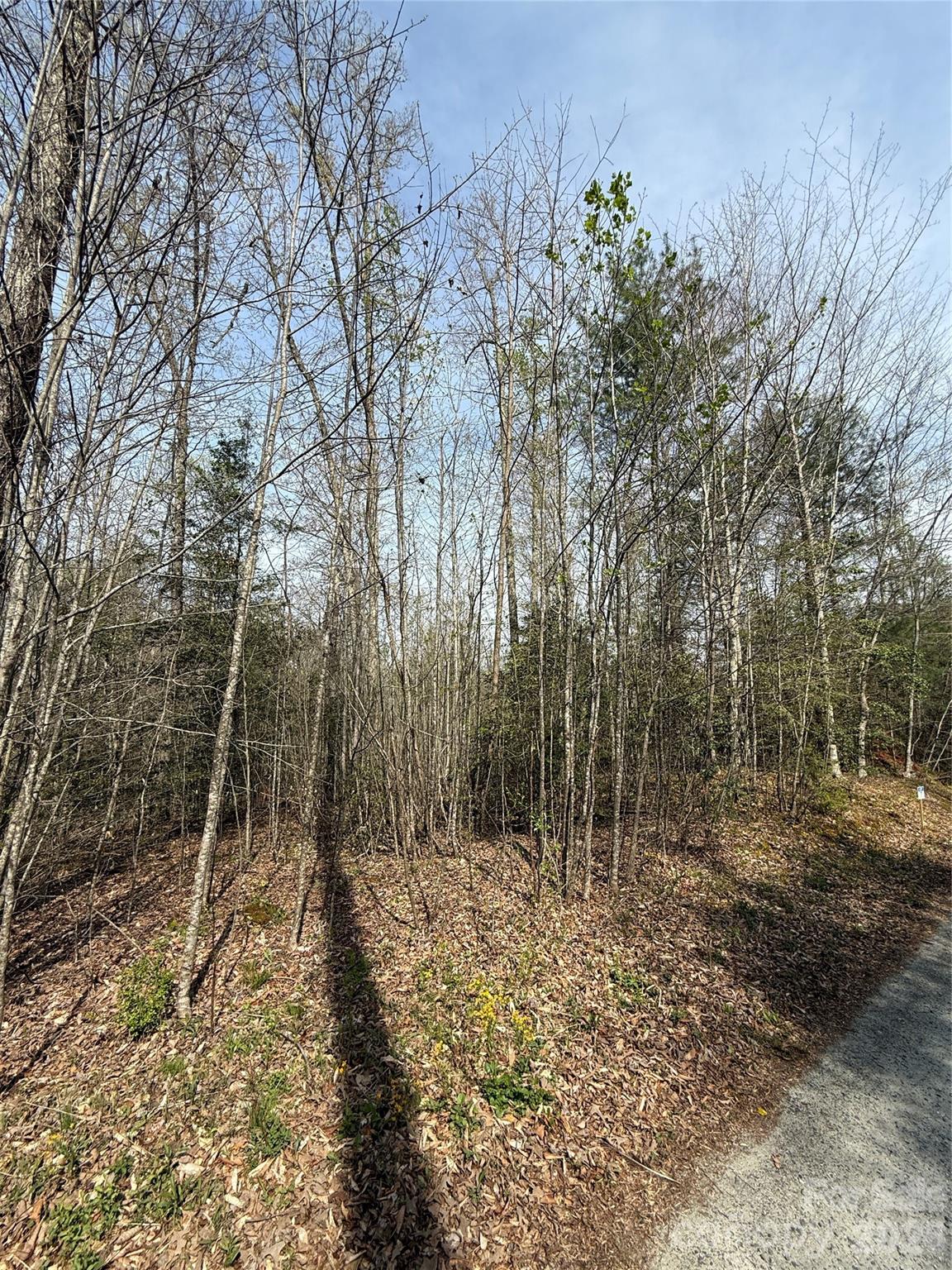 Lot # 7 West Legacy Drive 7 Property Photo 23