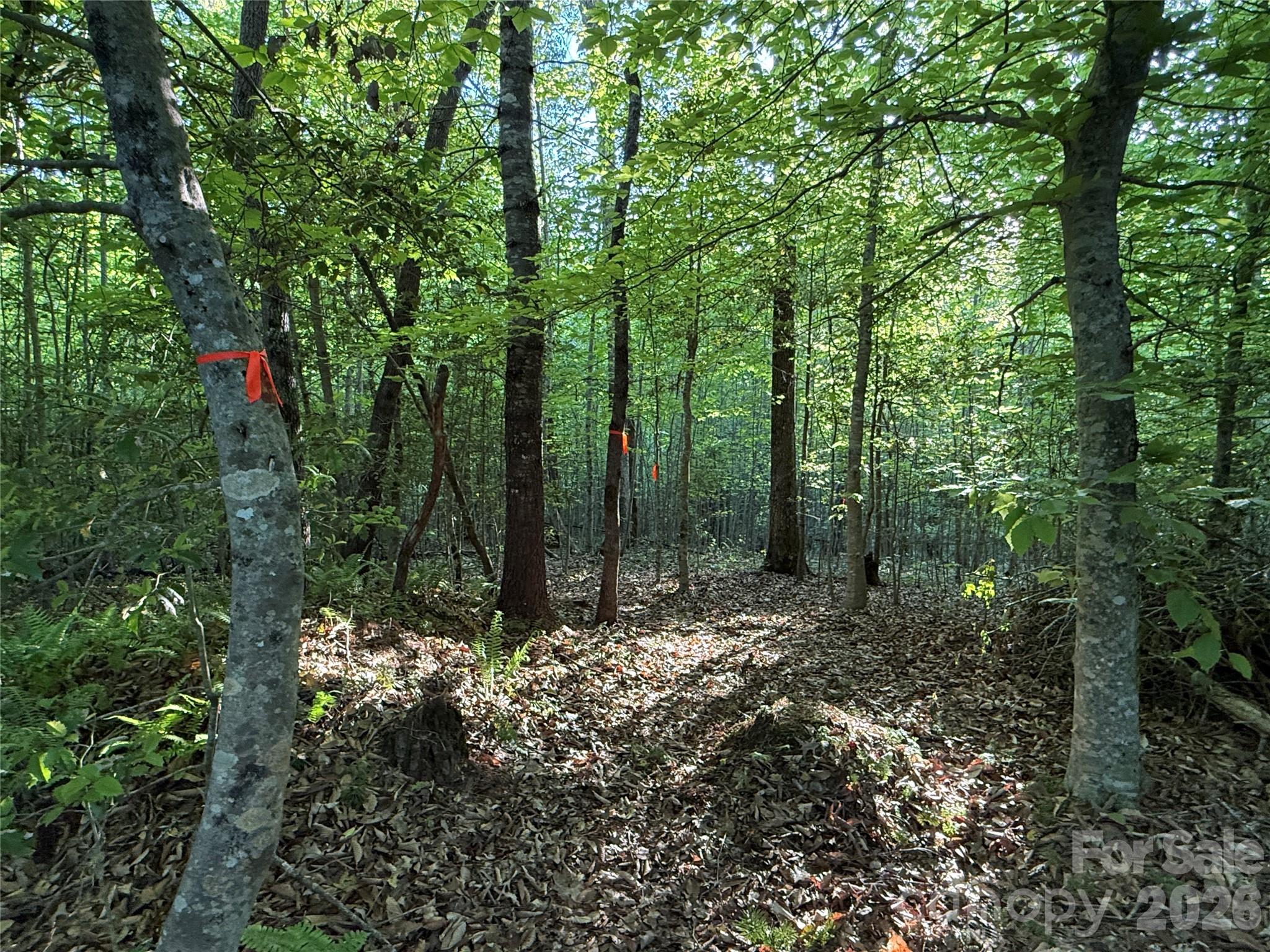 Lot # 7 West Legacy Drive 7 Property Photo 27