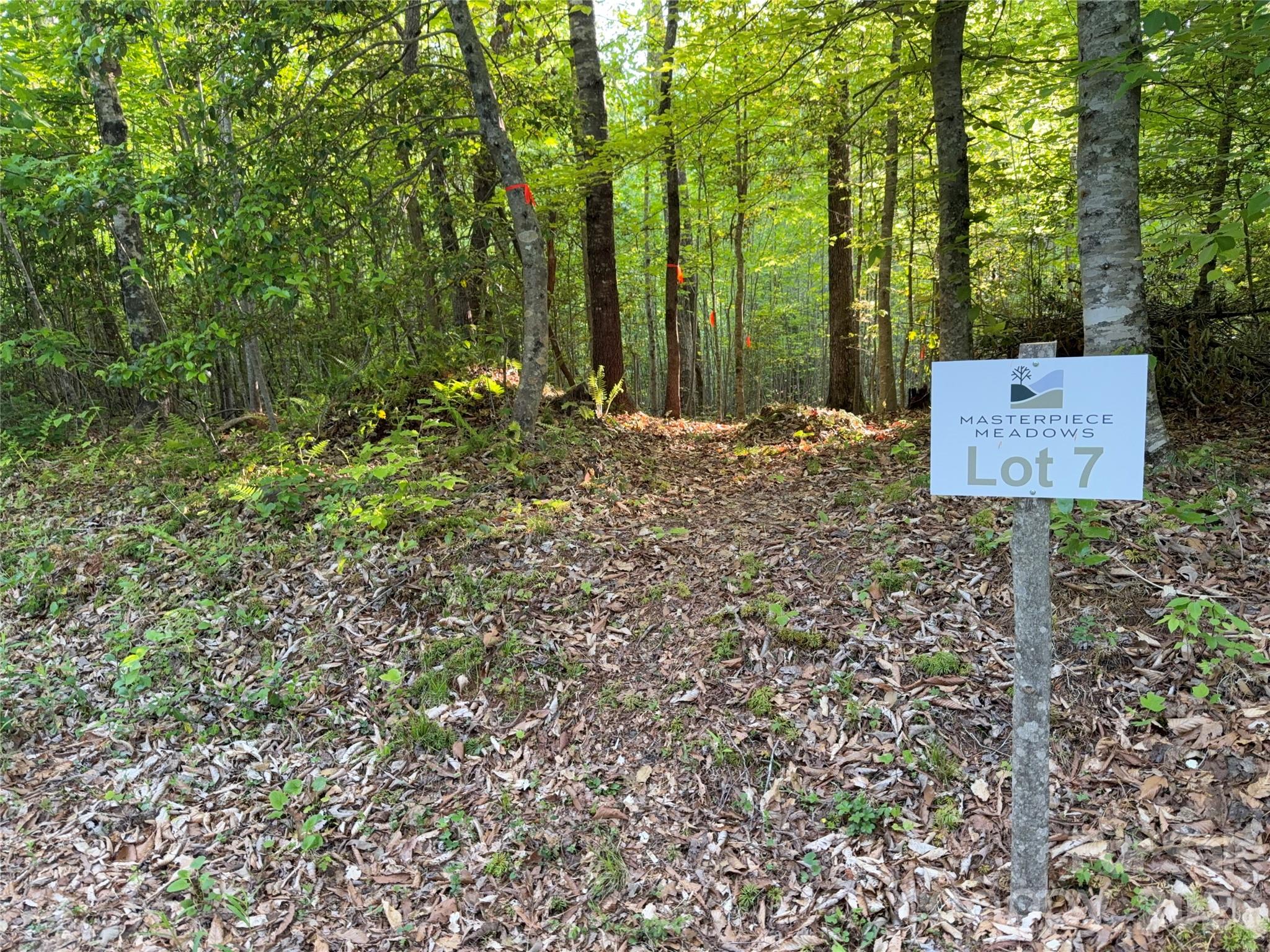 Lot # 7 West Legacy Drive 7 Property Photo 30