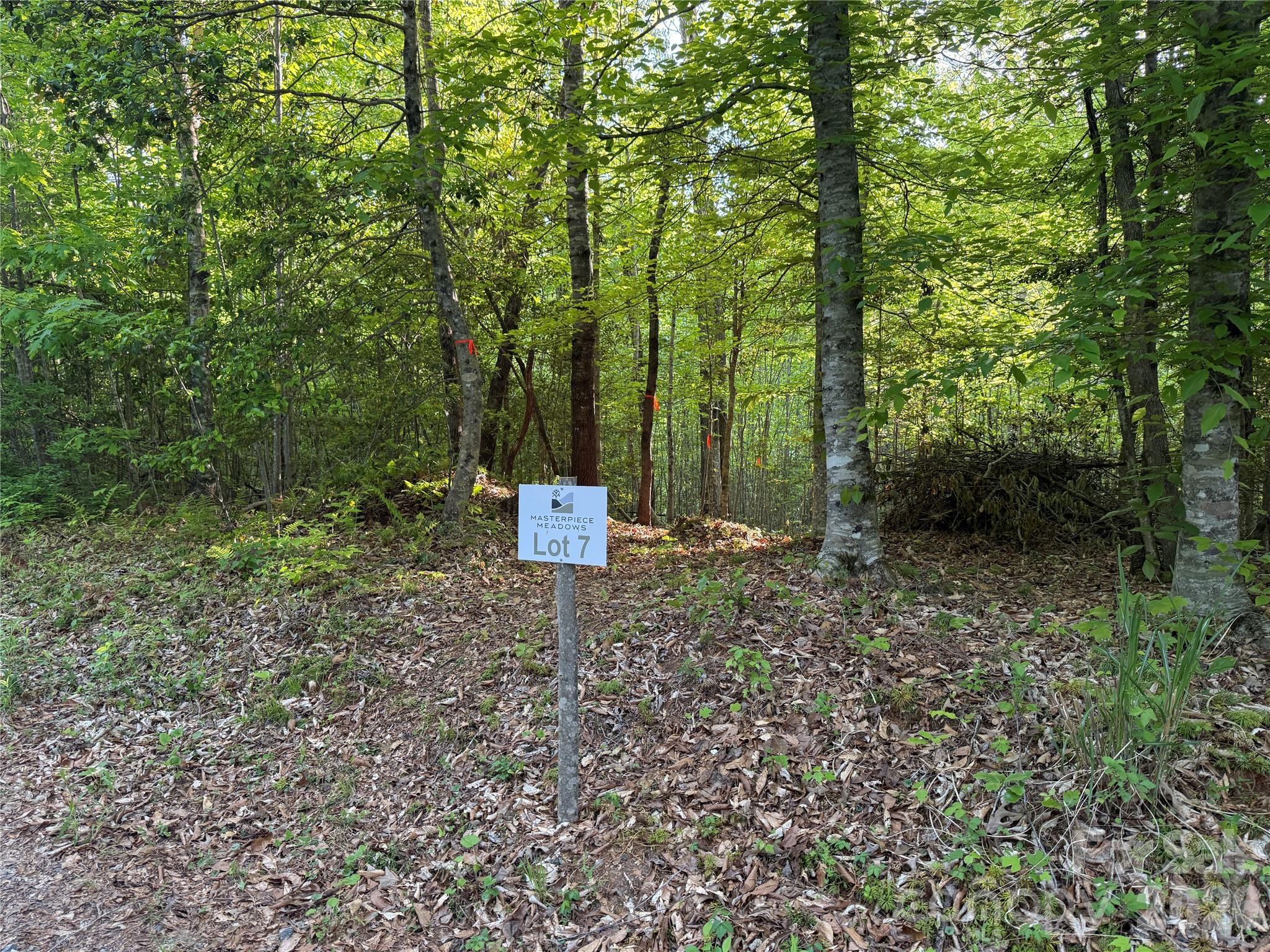Lot # 7 West Legacy Drive 7 Property Photo 31