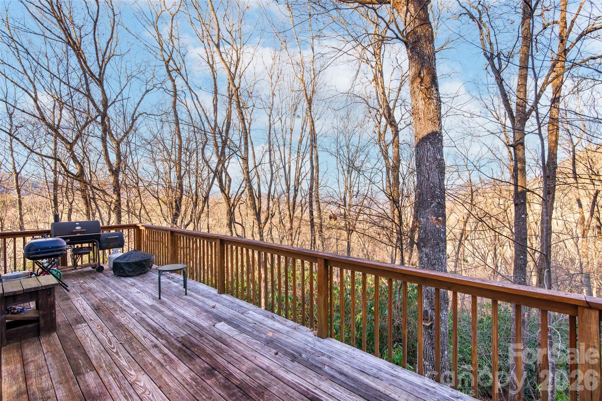 194 Ridgeview Drive Property Photo 33