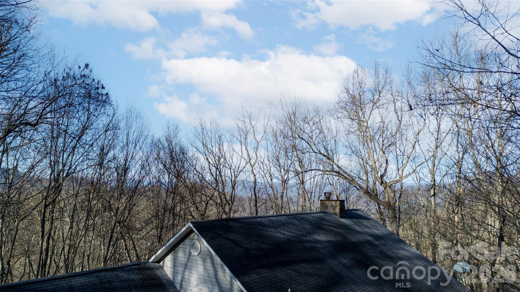 194 Ridgeview Drive Property Photo 40