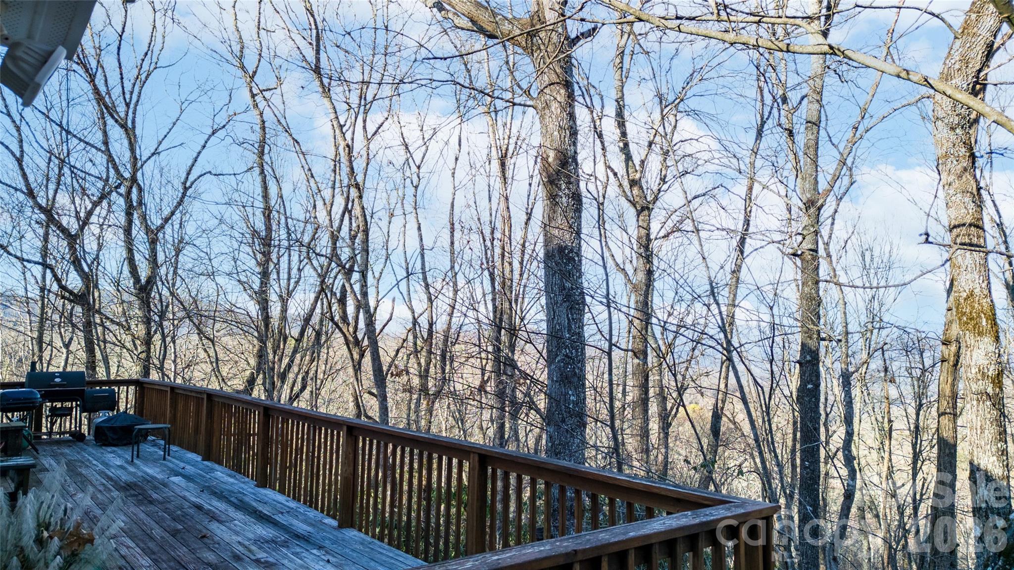 194 Ridgeview Drive Property Photo 43