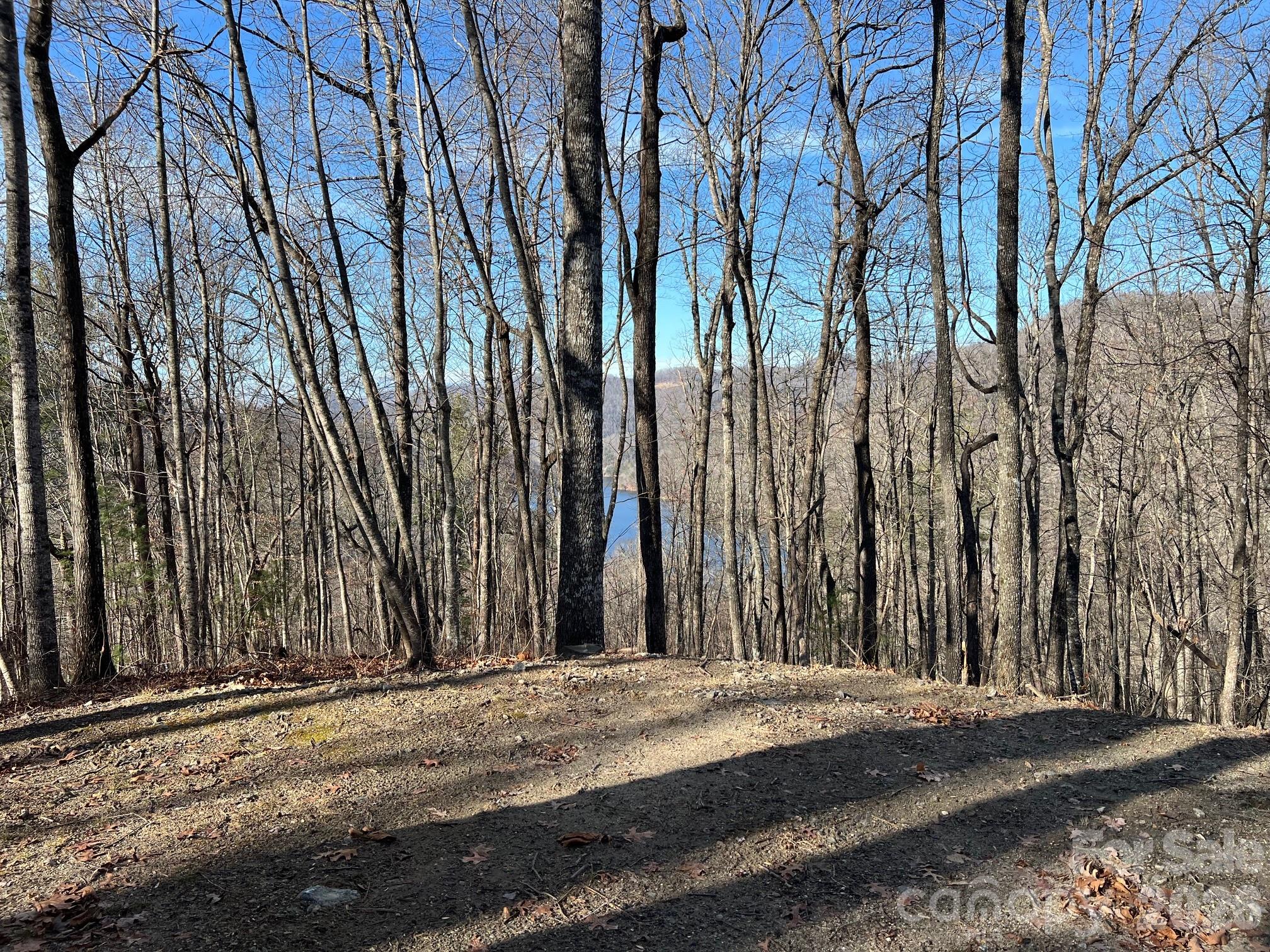762 Scarlet Oak Road Property Photo 10