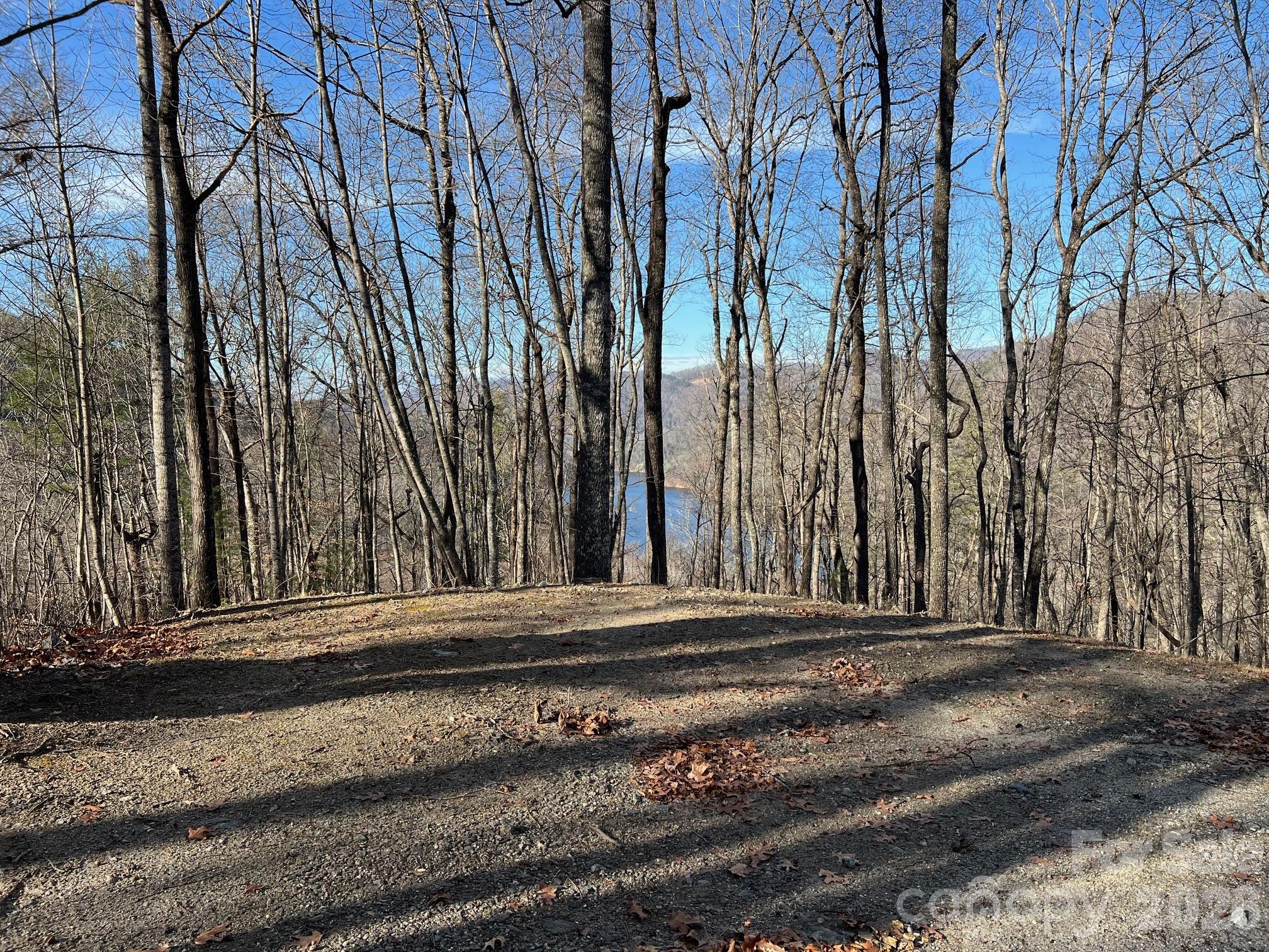 762 Scarlet Oak Road Property Photo 11