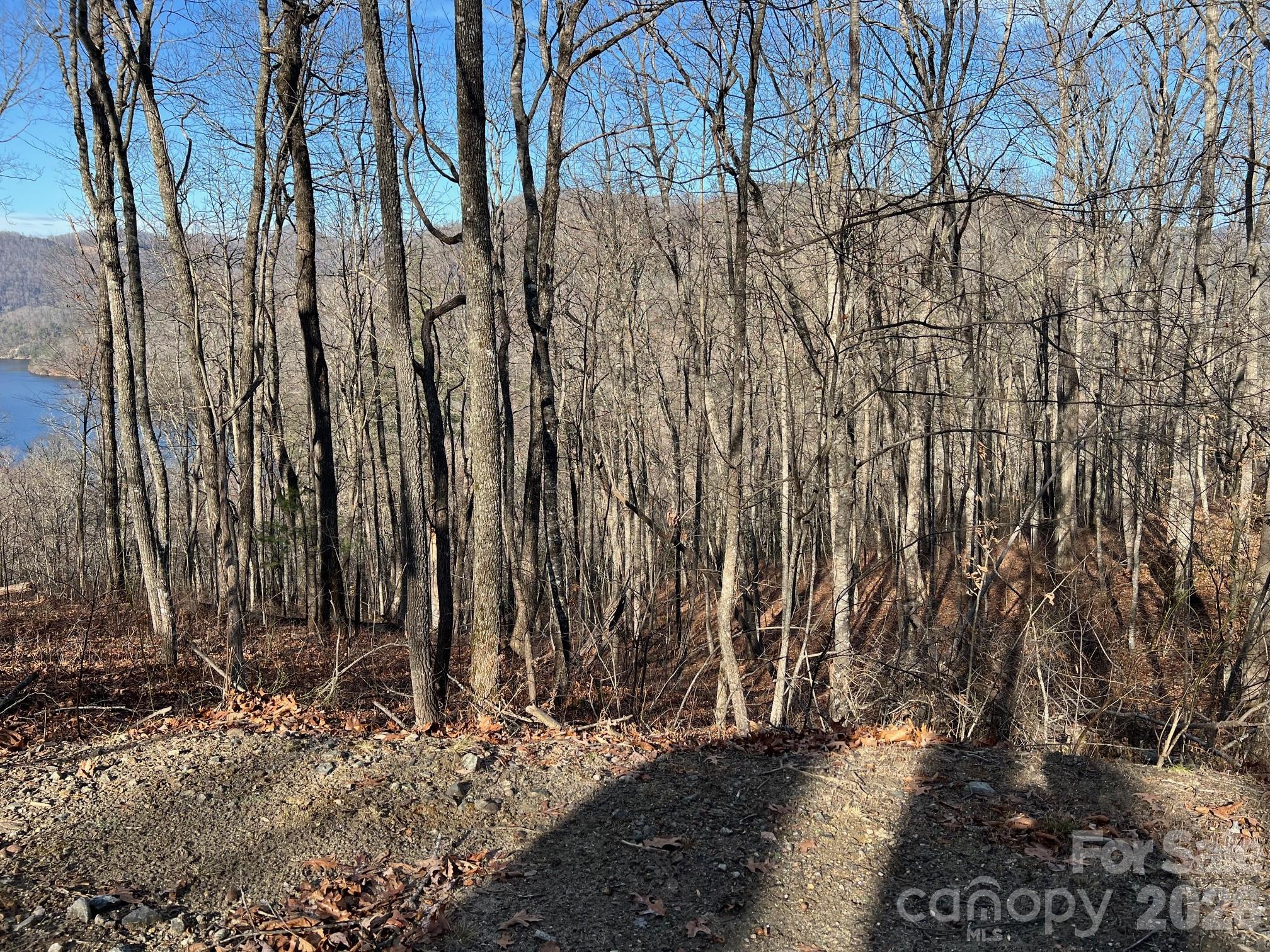 762 Scarlet Oak Road Property Photo 13
