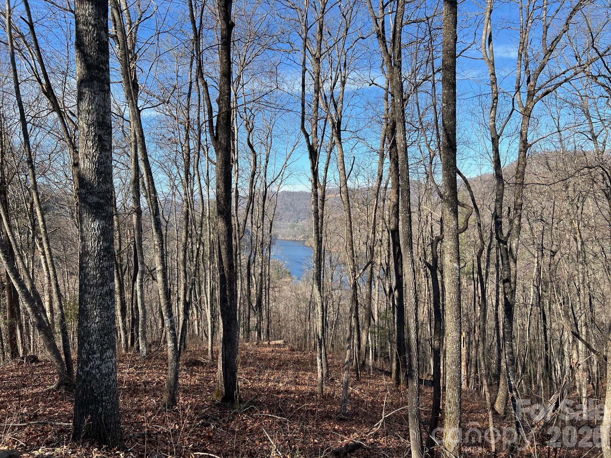 762 Scarlet Oak Road Property Photo 14