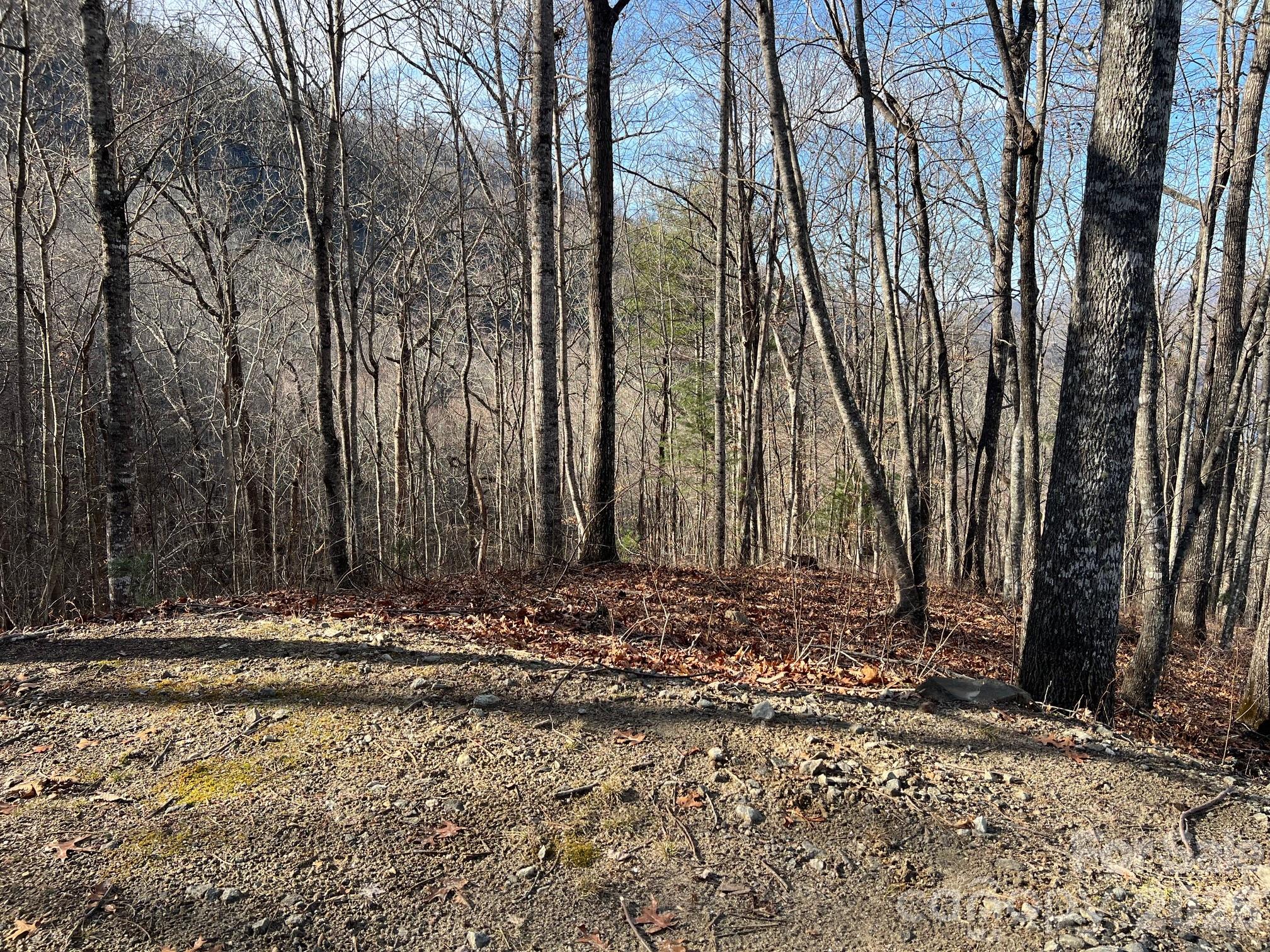 762 Scarlet Oak Road Property Photo 17
