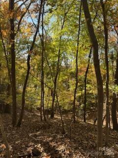 300 Rivercliff Drive Property Photo 4