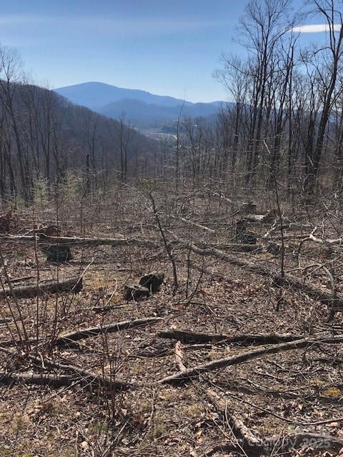 000 Butler Ridge Trail 27 Property Photo 3