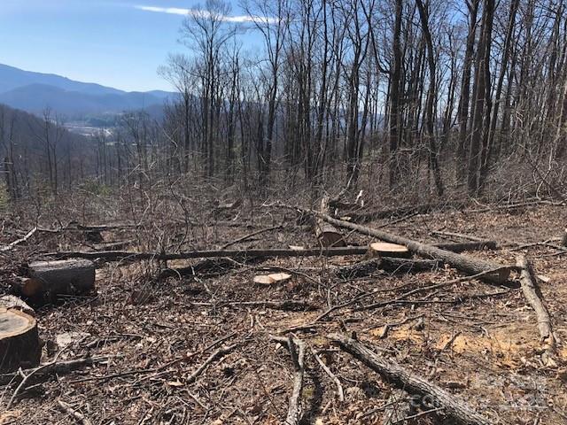 000 Butler Ridge Trail 27 Property Photo 4