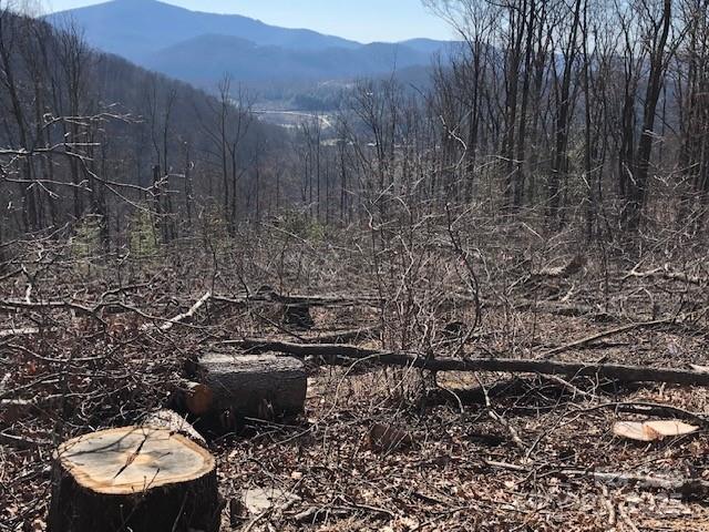 000 Butler Ridge Trail 27 Property Photo 5