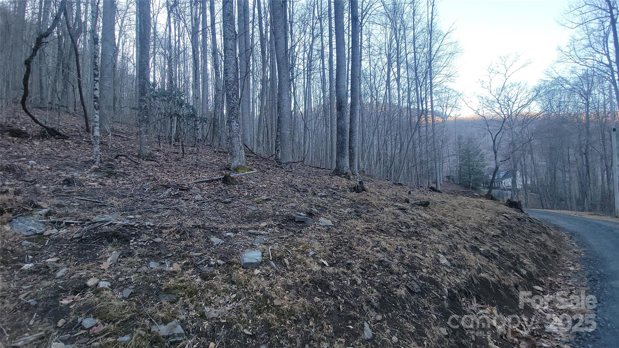 Lot 7b Hickory Springs Road 7b Property Photo 2