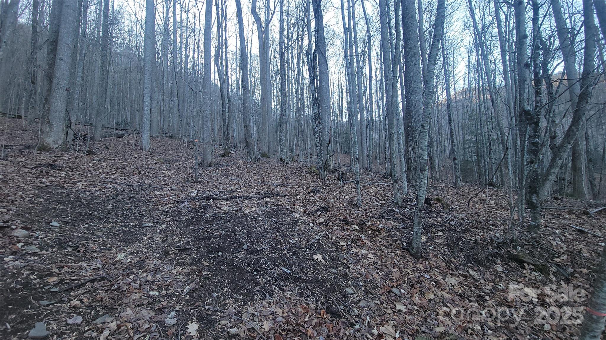 Lot 7b Hickory Springs Road 7b Property Photo 3