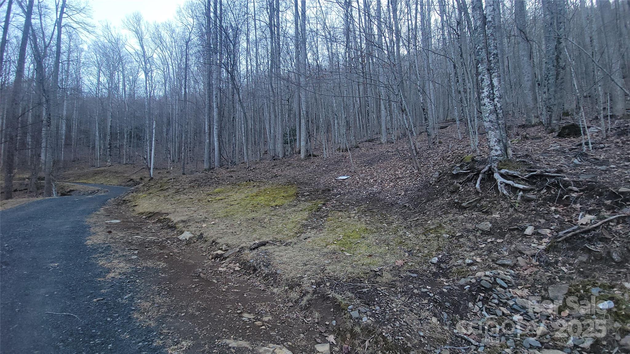 Lot 7b Hickory Springs Road 7b Property Photo 4