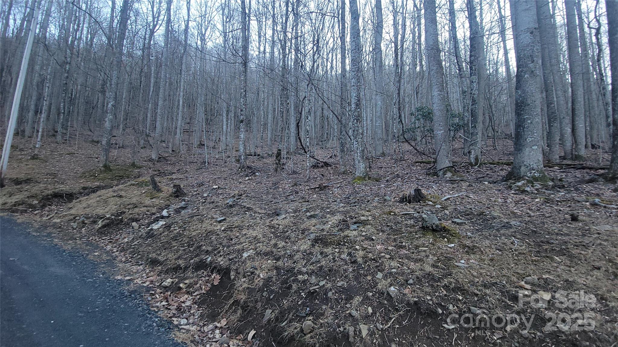 Lot 7b Hickory Springs Road 7b Property Photo 5