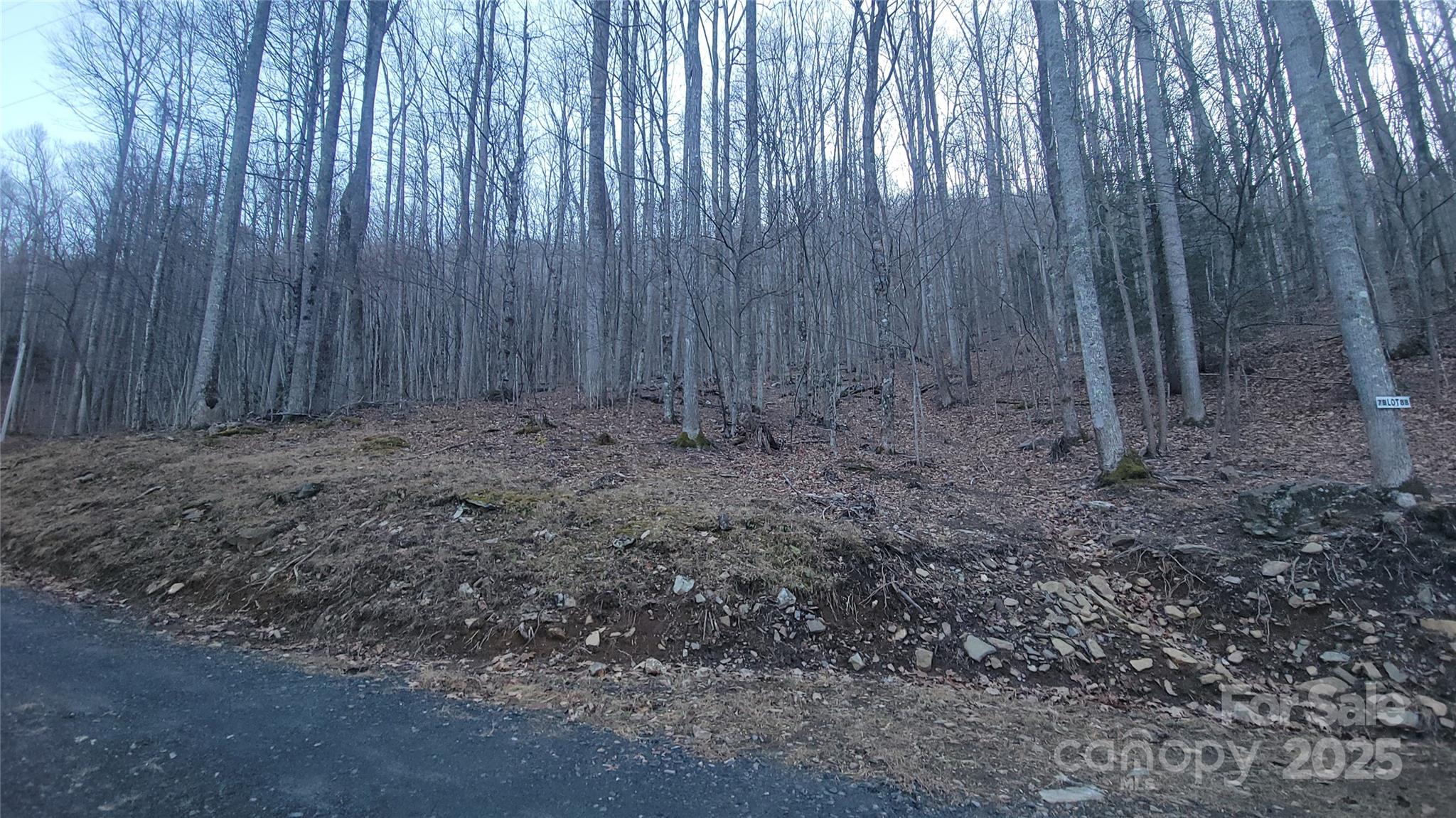 Lot 7b Hickory Springs Road 7b Property Photo 6
