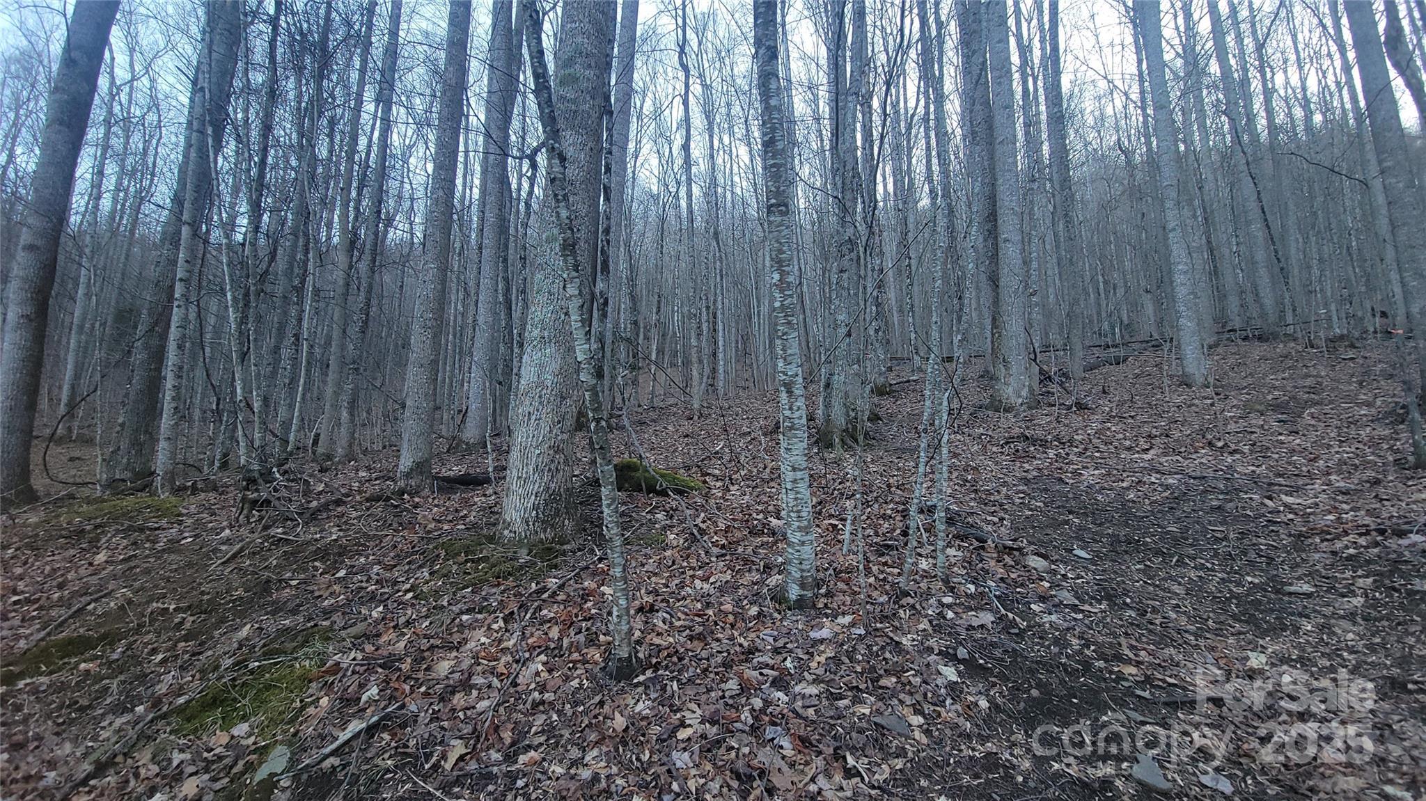 Lot 7b Hickory Springs Road 7b Property Photo 7