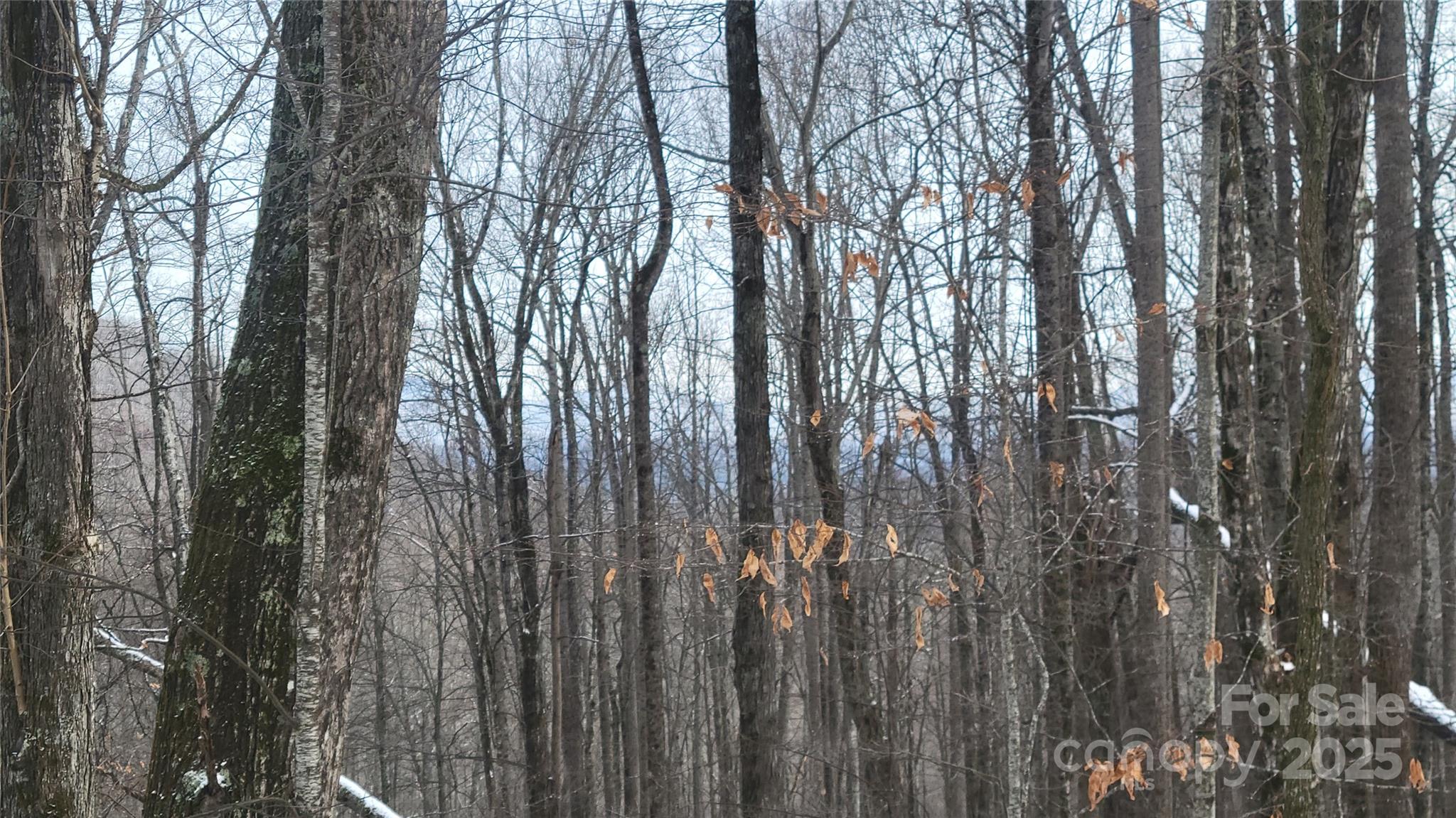 Lot 7b Hickory Springs Road 7b Property Photo 11