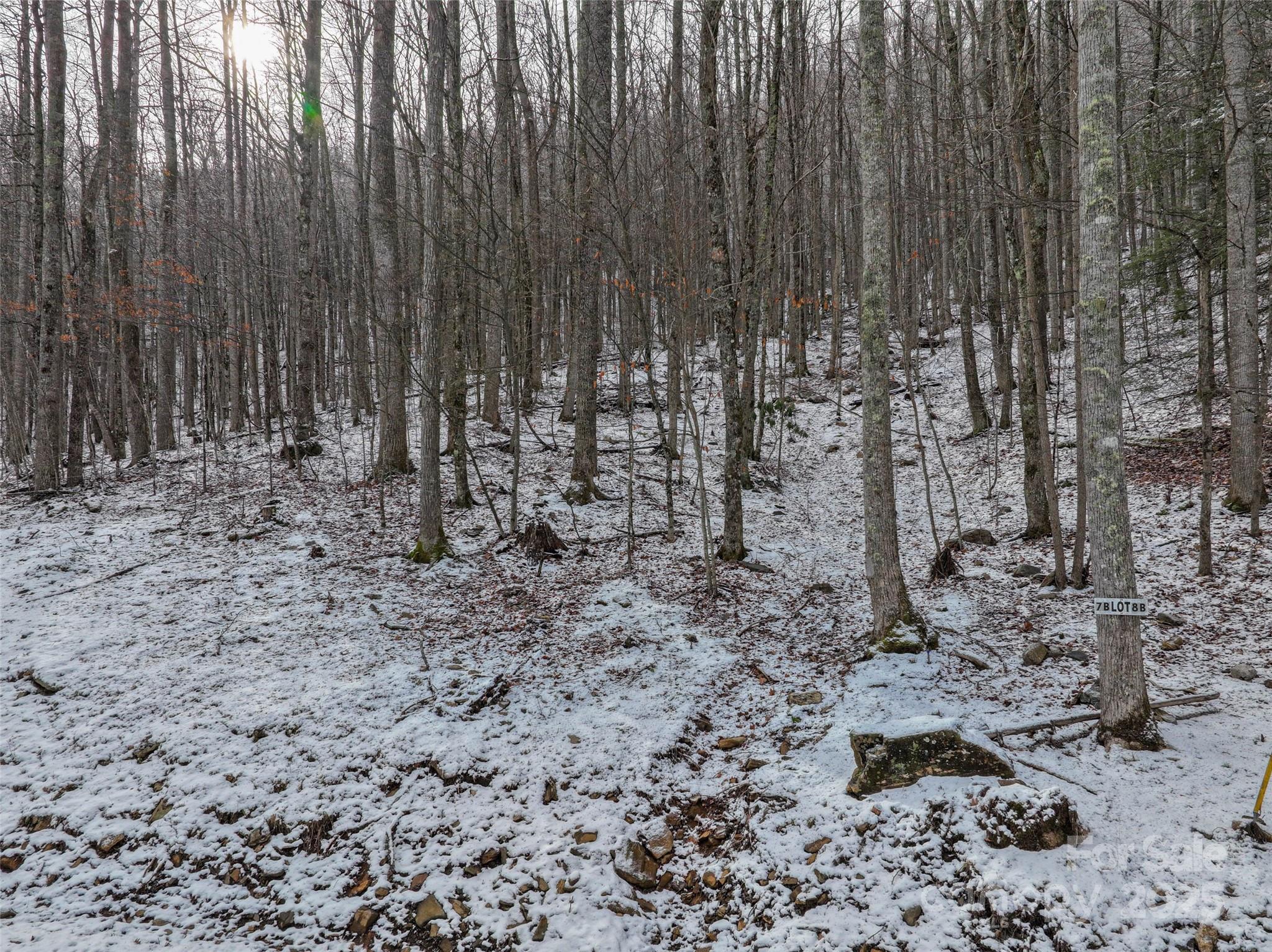 Lot 7b Hickory Springs Road 7b Property Photo 12