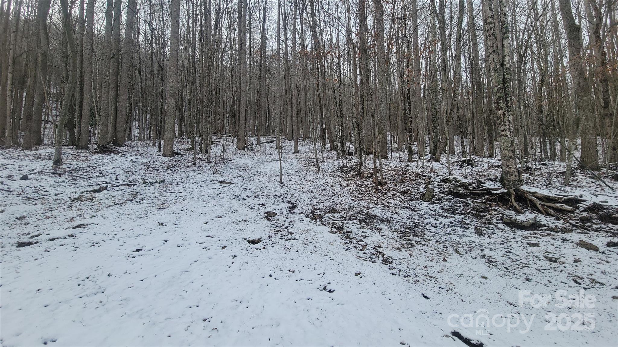 Lot 7b Hickory Springs Road 7b Property Photo 13