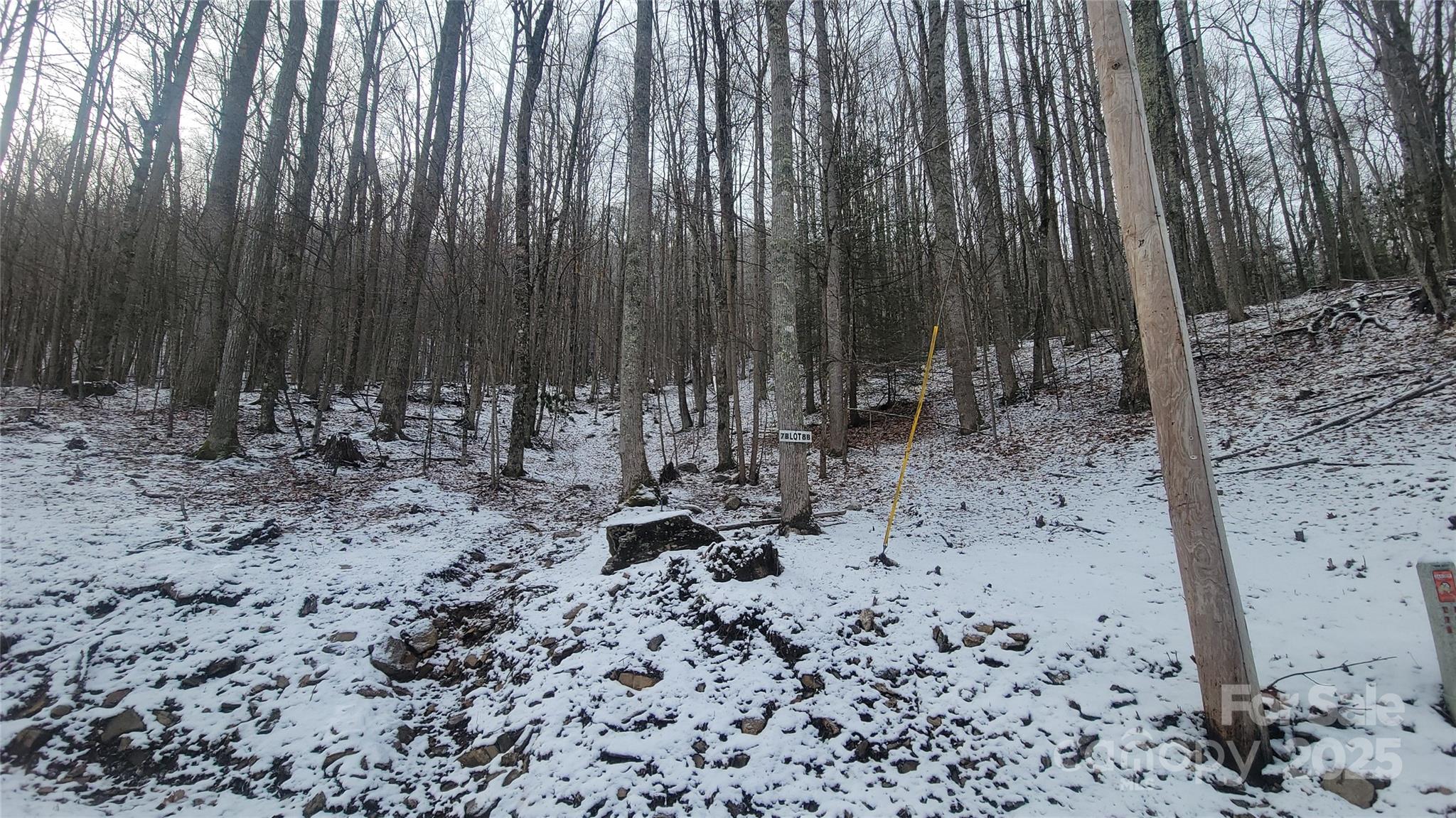 Lot 7b Hickory Springs Road 7b Property Photo 14