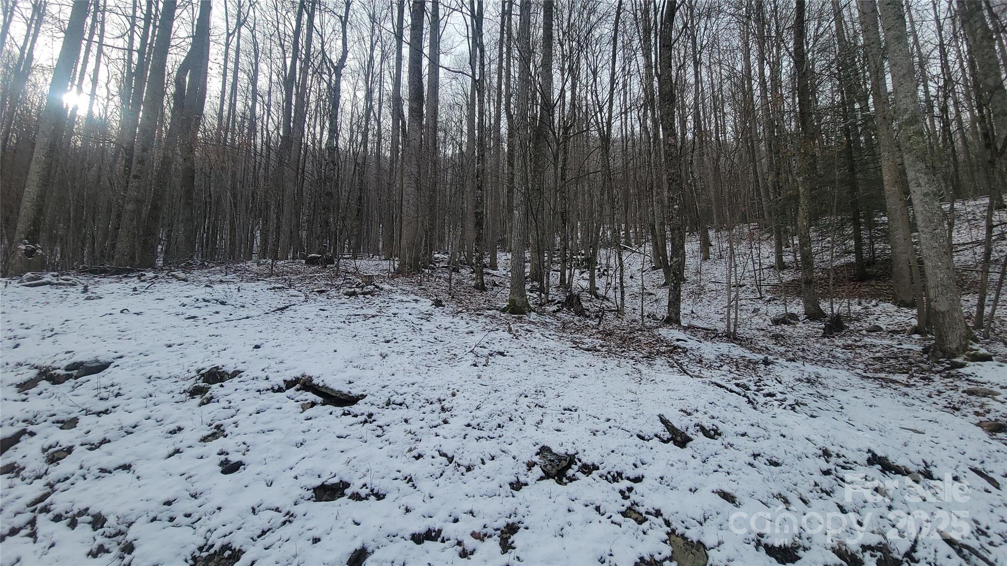 Lot 7b Hickory Springs Road 7b Property Photo 15