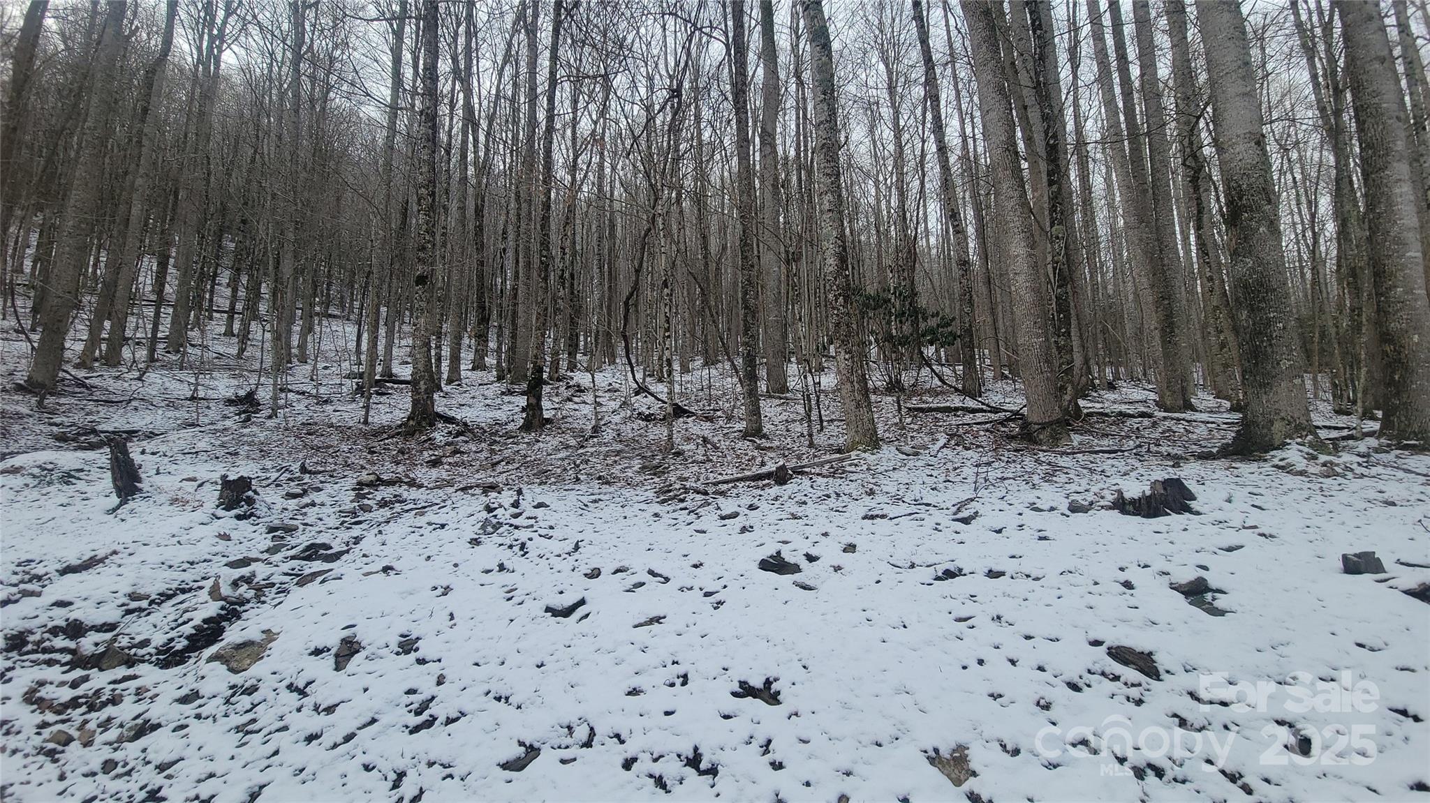 Lot 7b Hickory Springs Road 7b Property Photo 16
