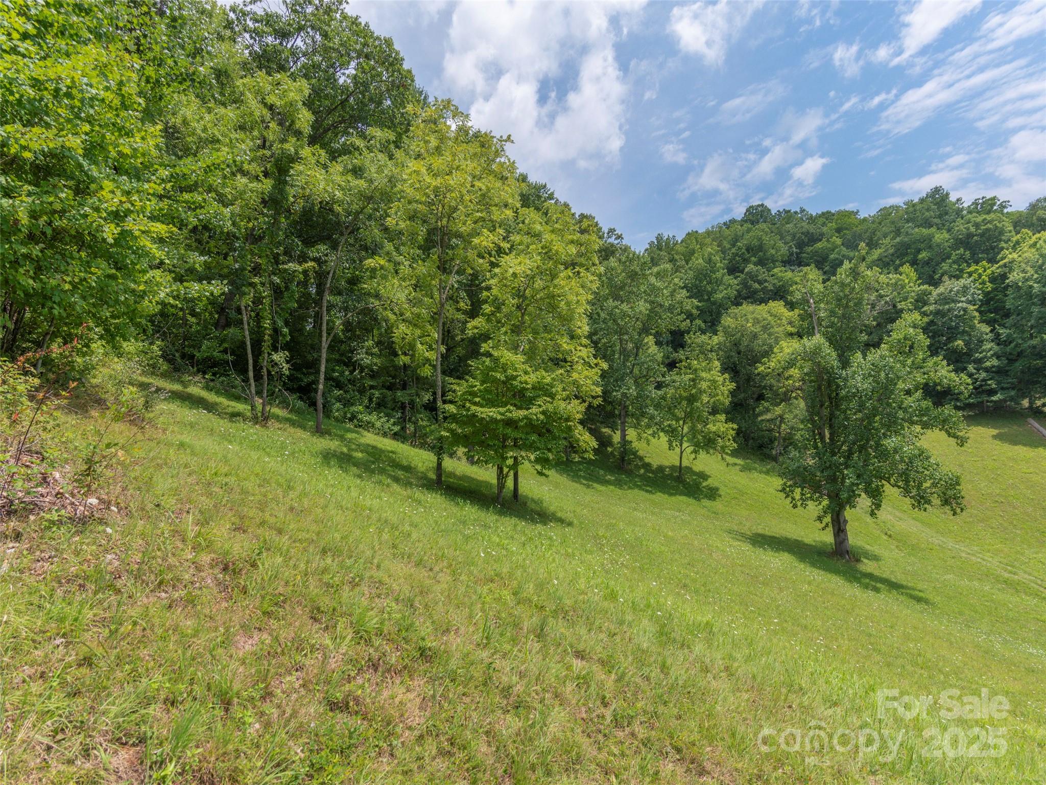 00 Bark Trail Property Photo 20