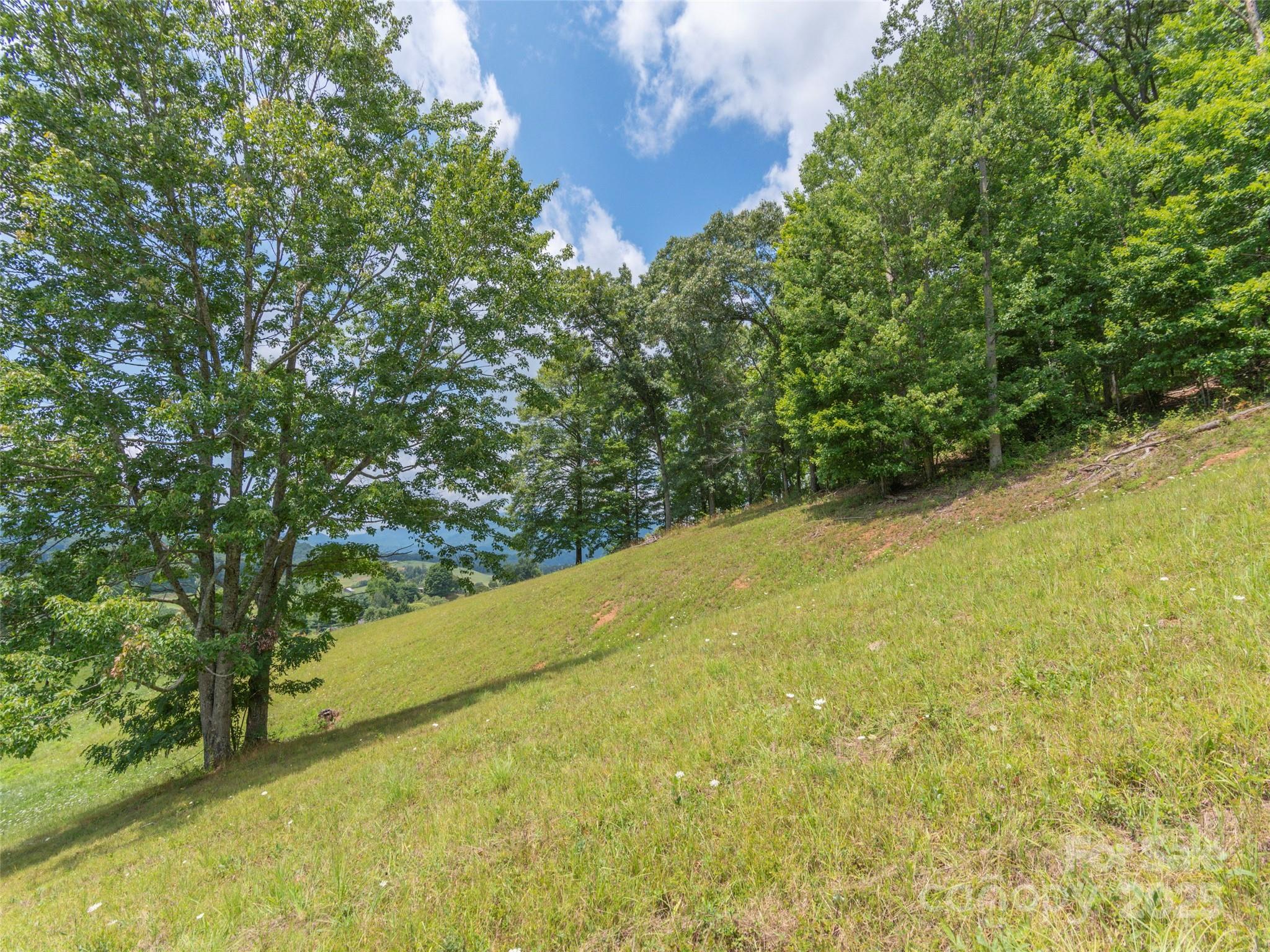 00 Bark Trail Property Photo 22