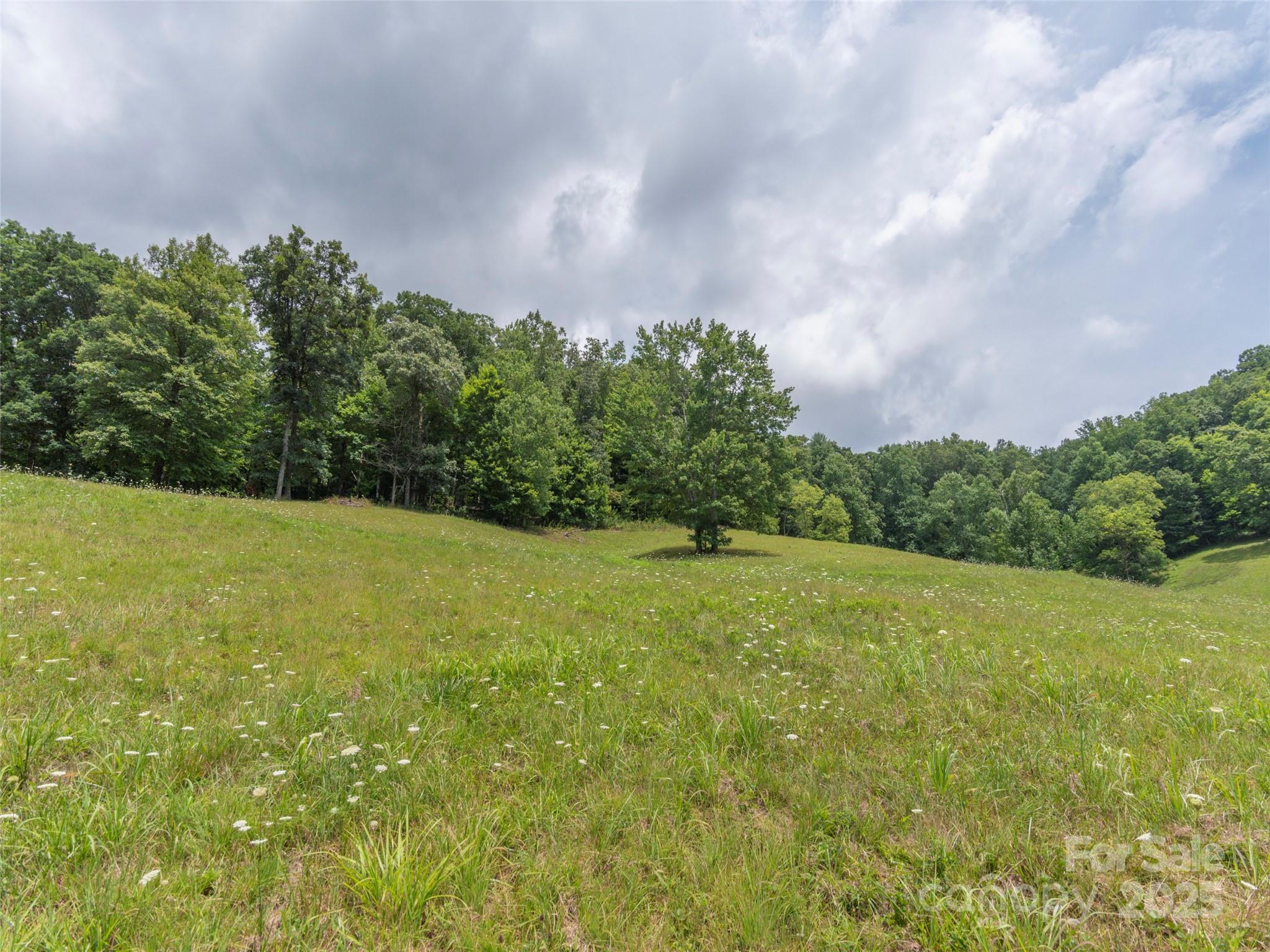 00 Bark Trail Property Photo 27