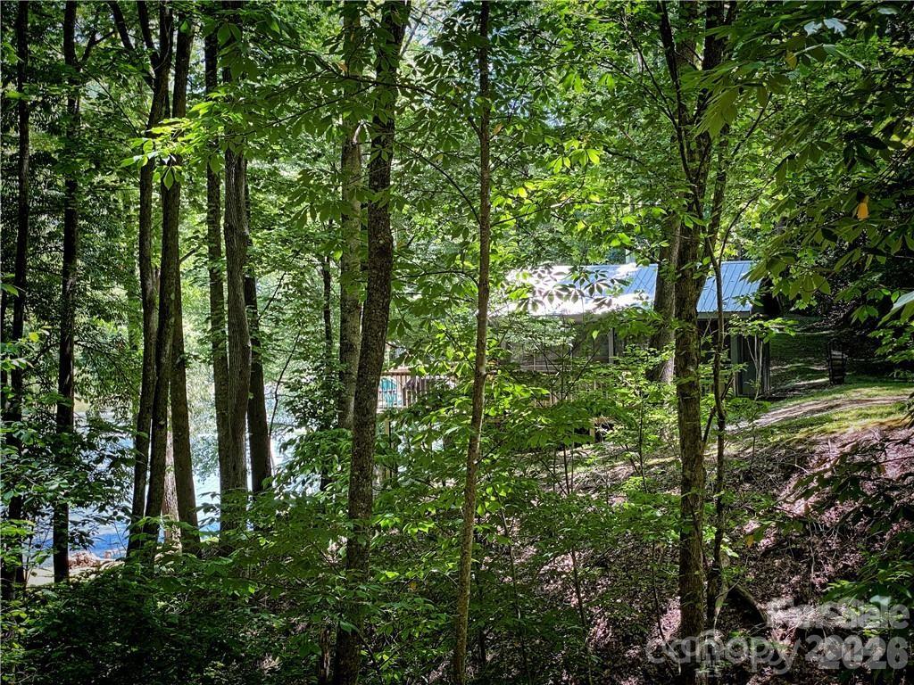 2736 White Oak Flats Road Property Photo 28