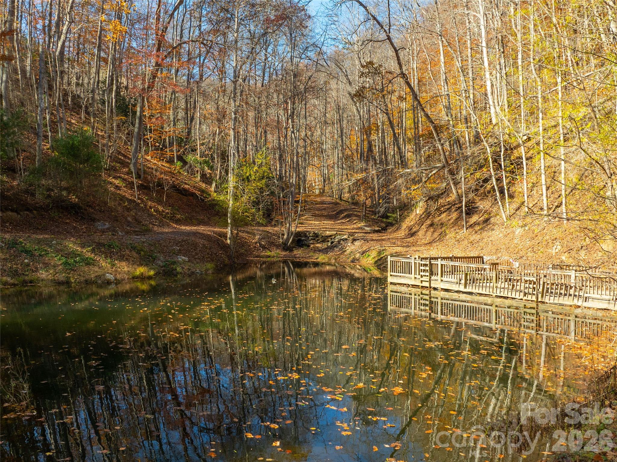 2736 White Oak Flats Road Property Photo 6