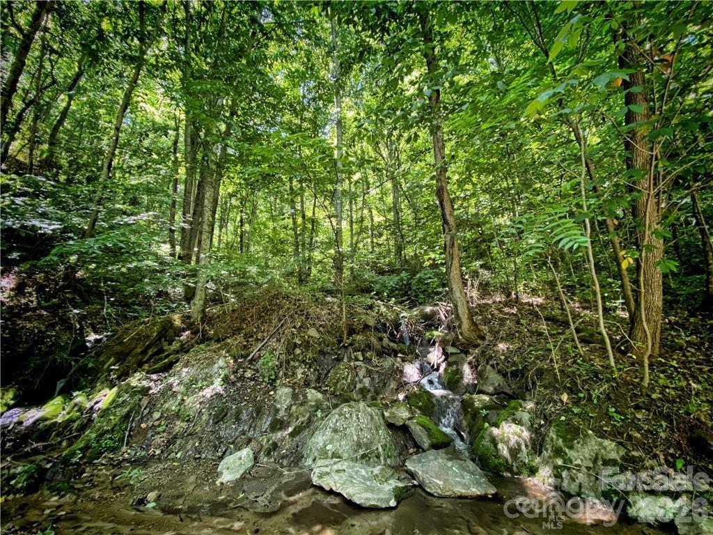 2736 White Oak Flats Road Property Photo 31