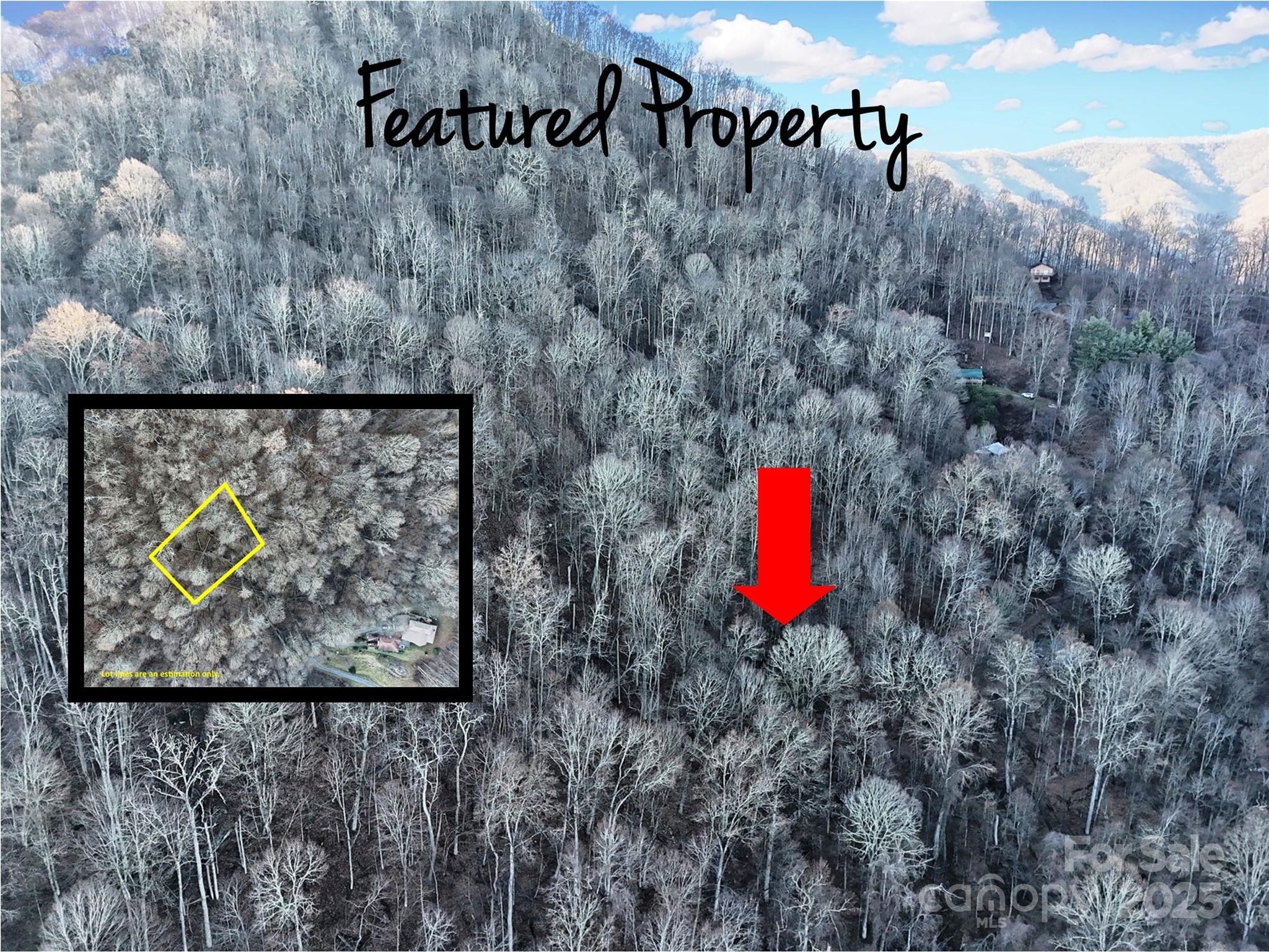 Tbd Vireo Lane Property Photo 2