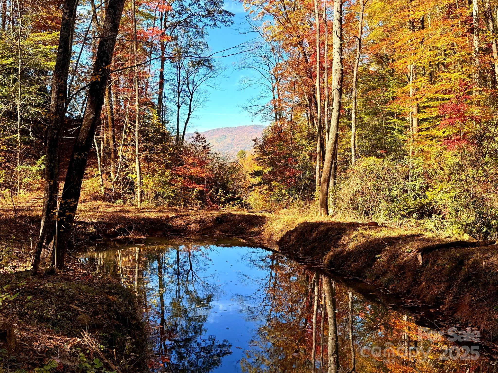 0 The Falls Road 17.73+/- Acres Waterfall Property Photo 4