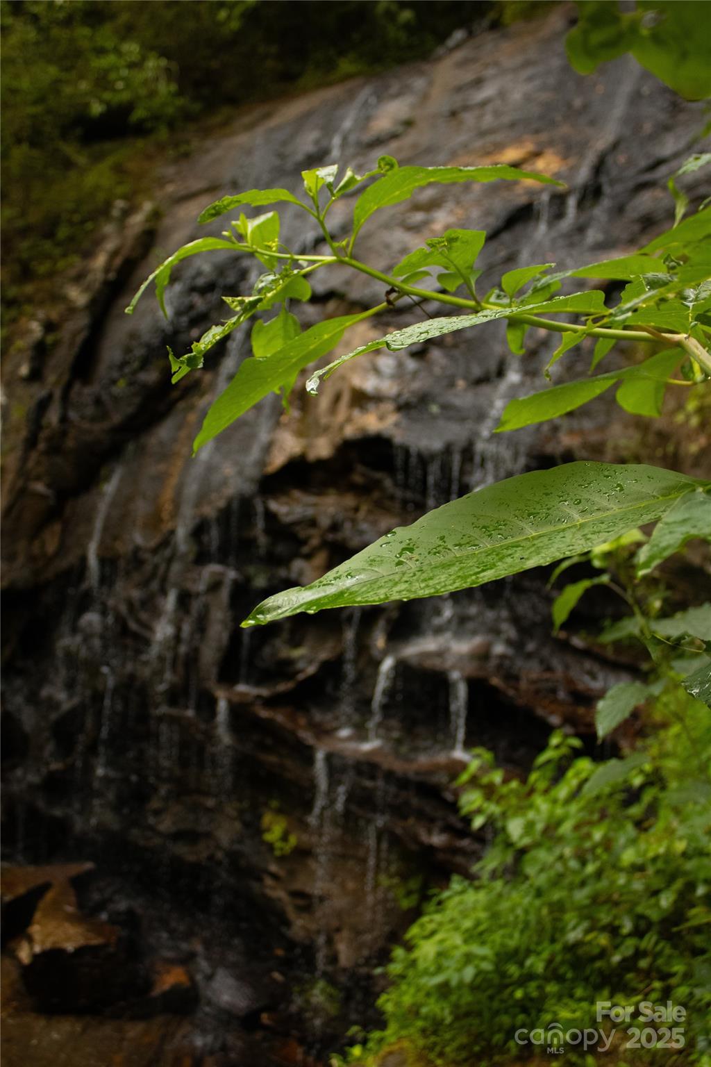 0 The Falls Road 17.73+/- Acres Waterfall Property Photo 15