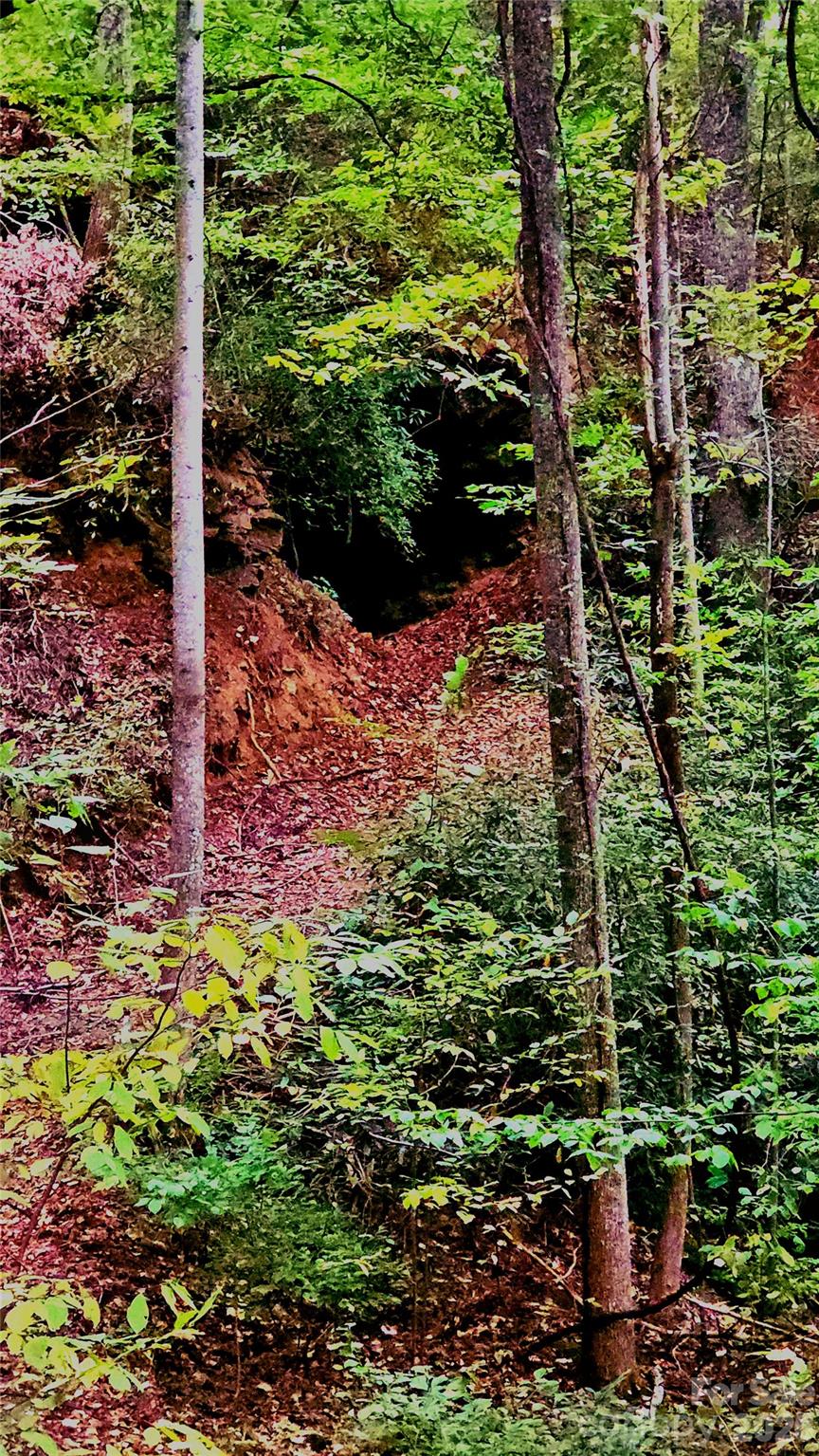 0 Shoal Ridge Lane 2 Property Photo 16