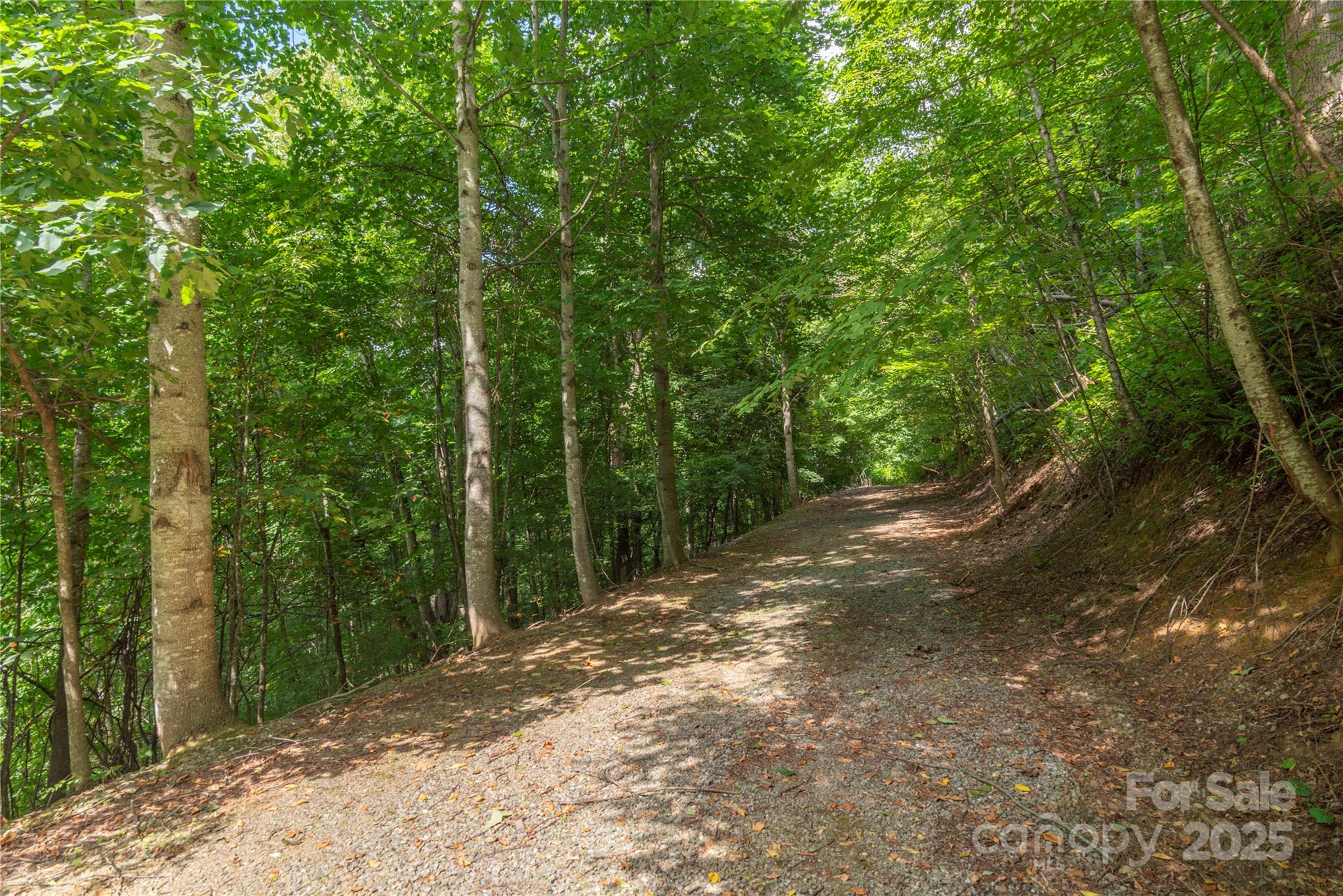 00 Pitch Fork Cove 525 Property Photo 5