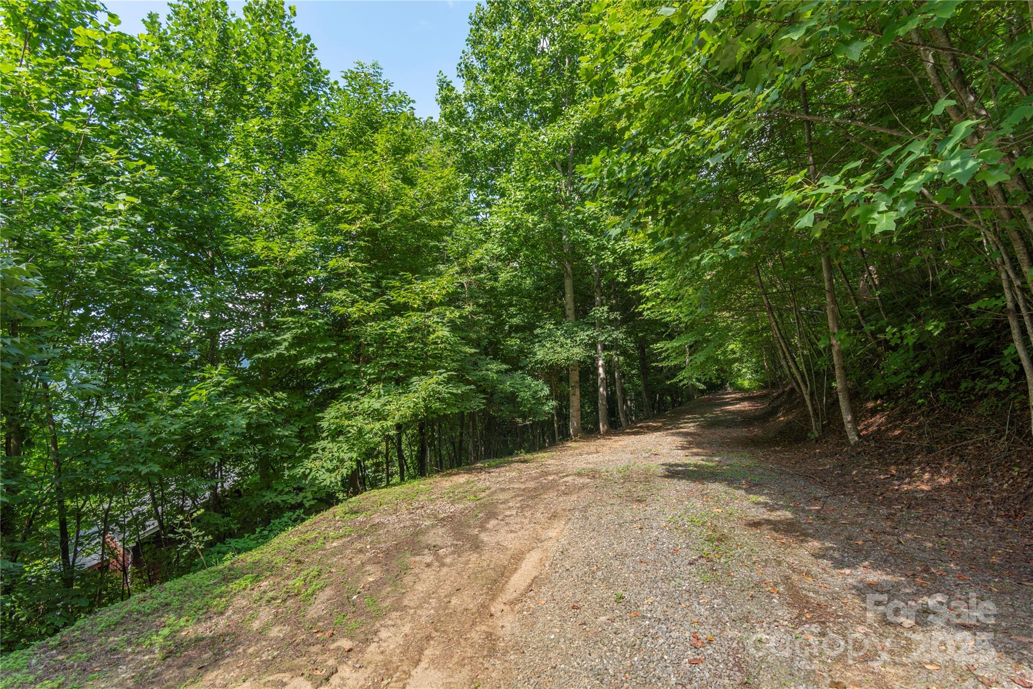 00 Pitch Fork Cove 525 Property Photo 6