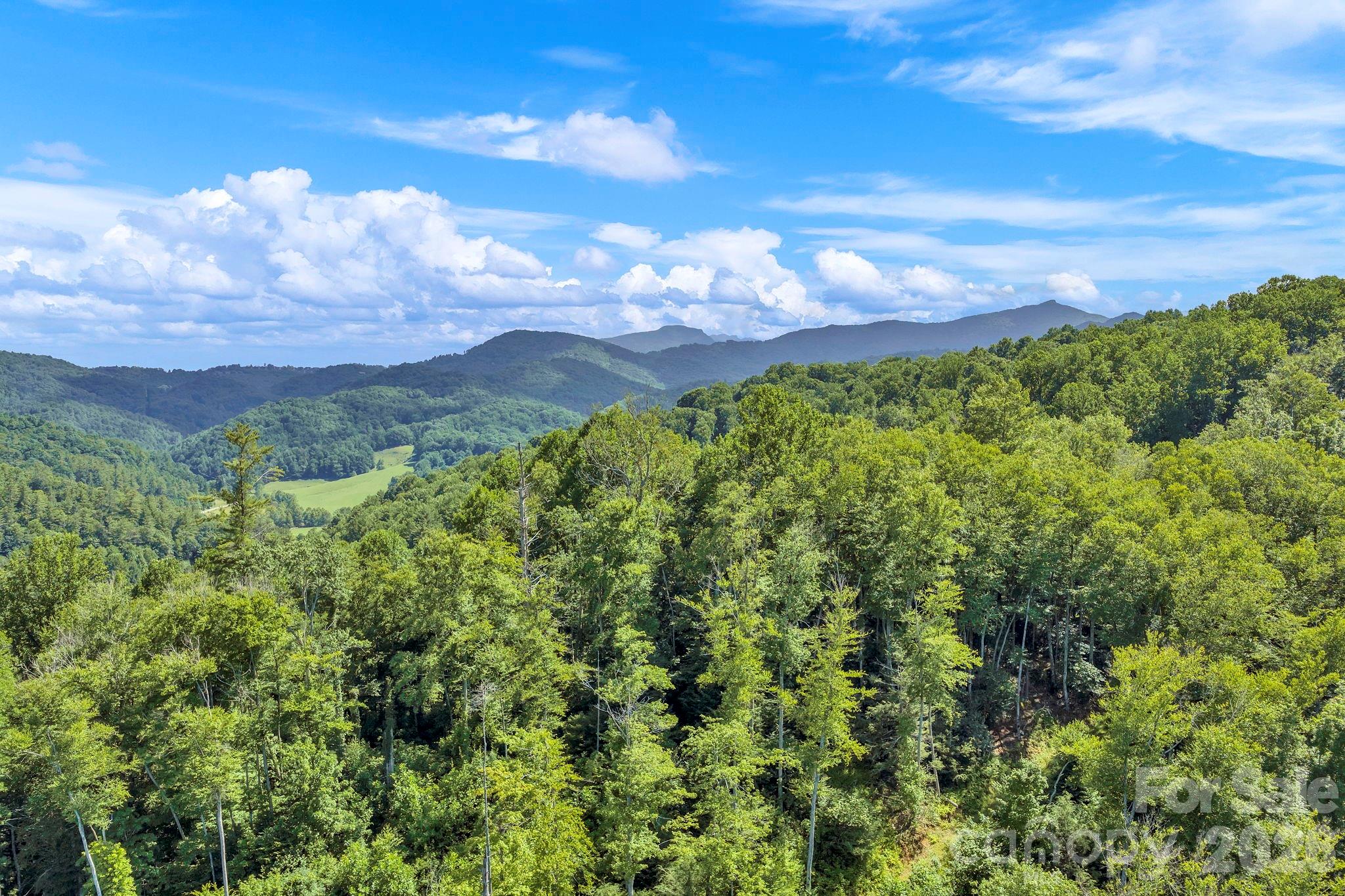3606 Nc Highway 194 None Property Photo 1