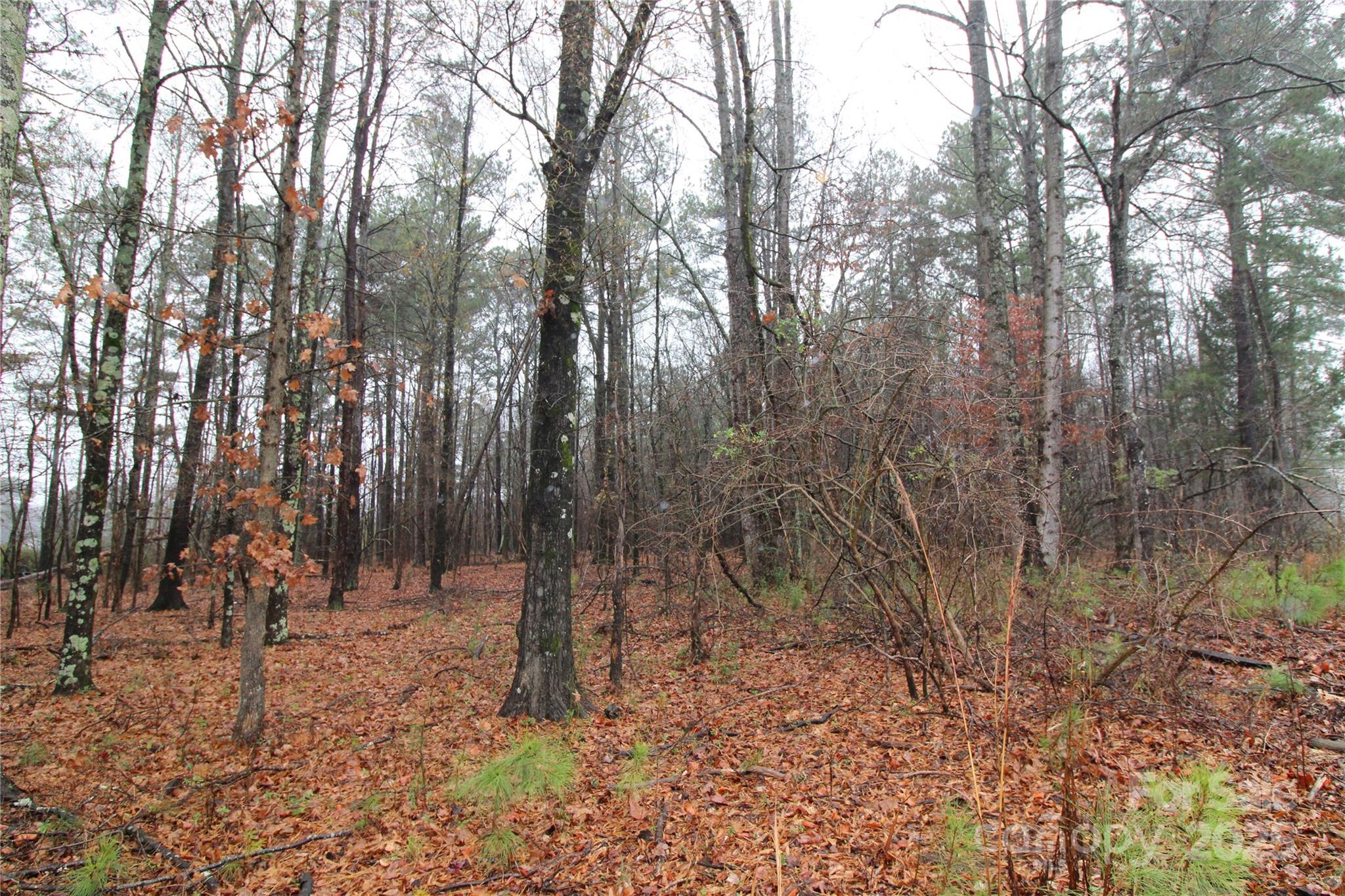 4.78+/-ac Neal Road Lot 5 Property Photo 6