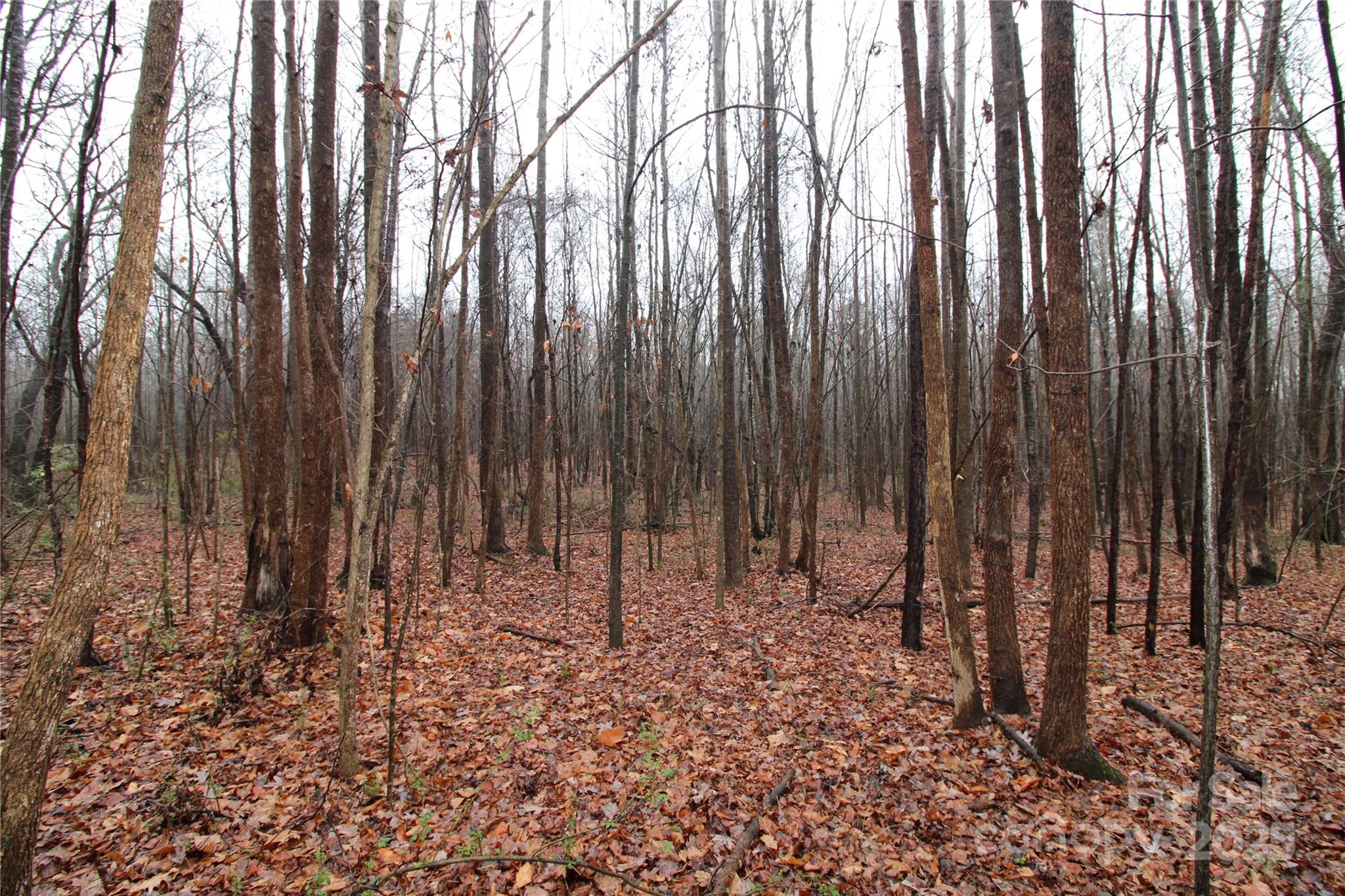 4.38+/-ac Eaker Road Lot 3 Property Photo 2