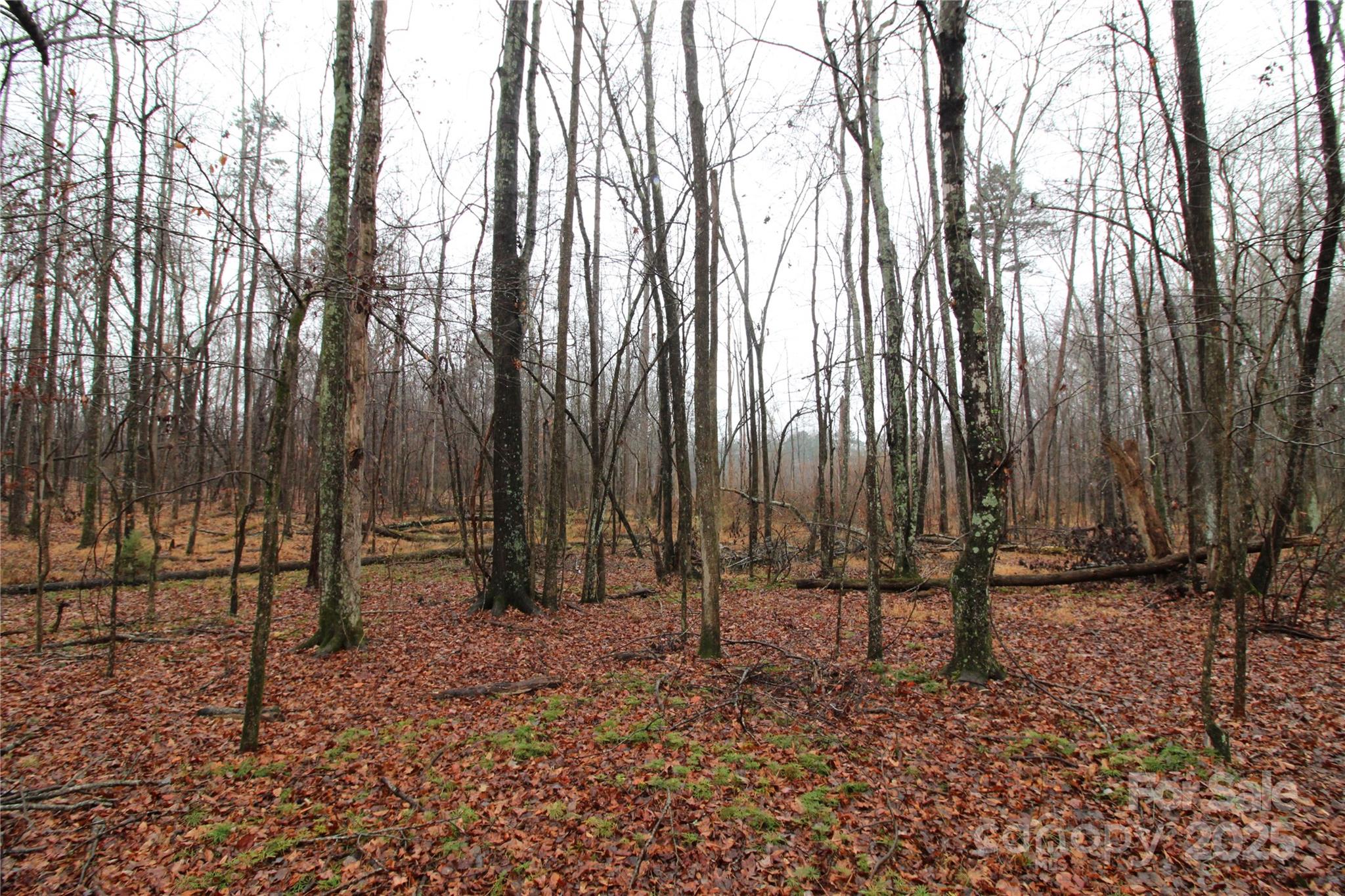 4.38+/-ac Eaker Road Lot 3 Property Photo 4