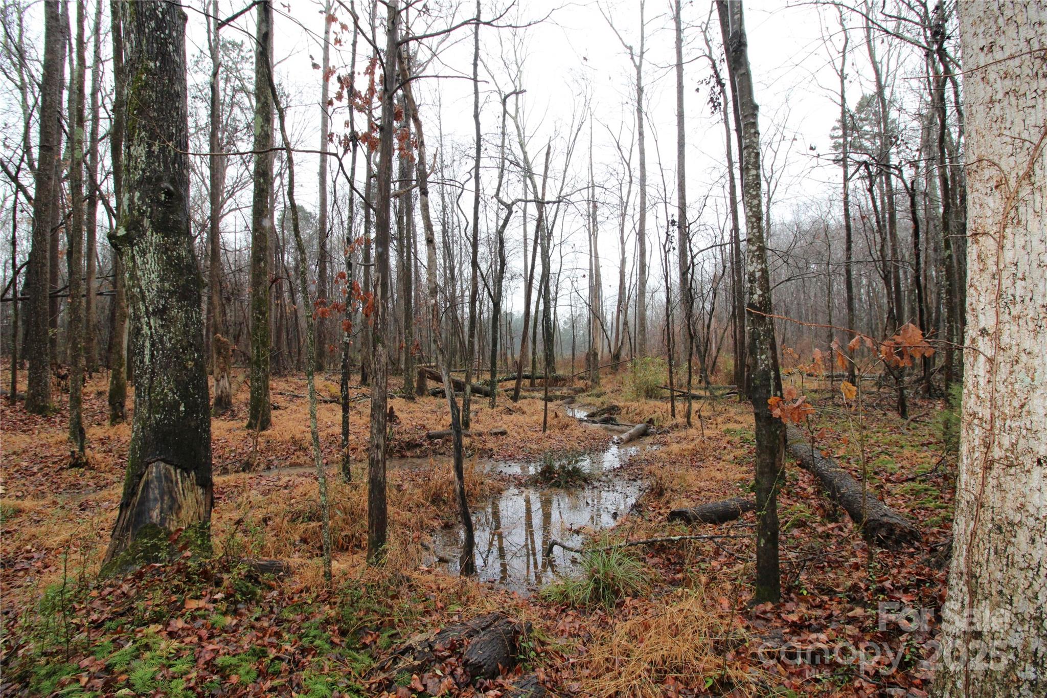 4.38+/-ac Eaker Road Lot 3 Property Photo 5