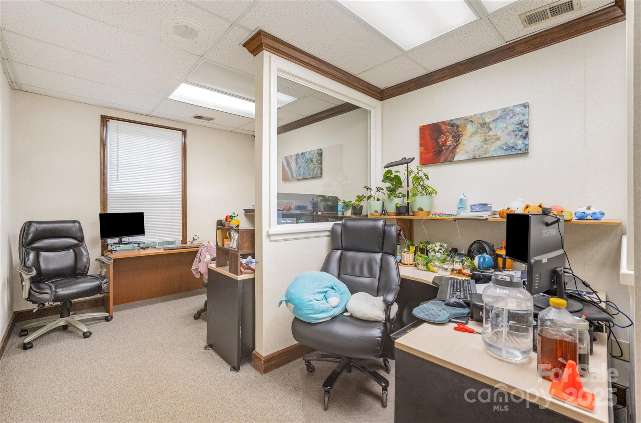 4523 Park Road Property Photo 33