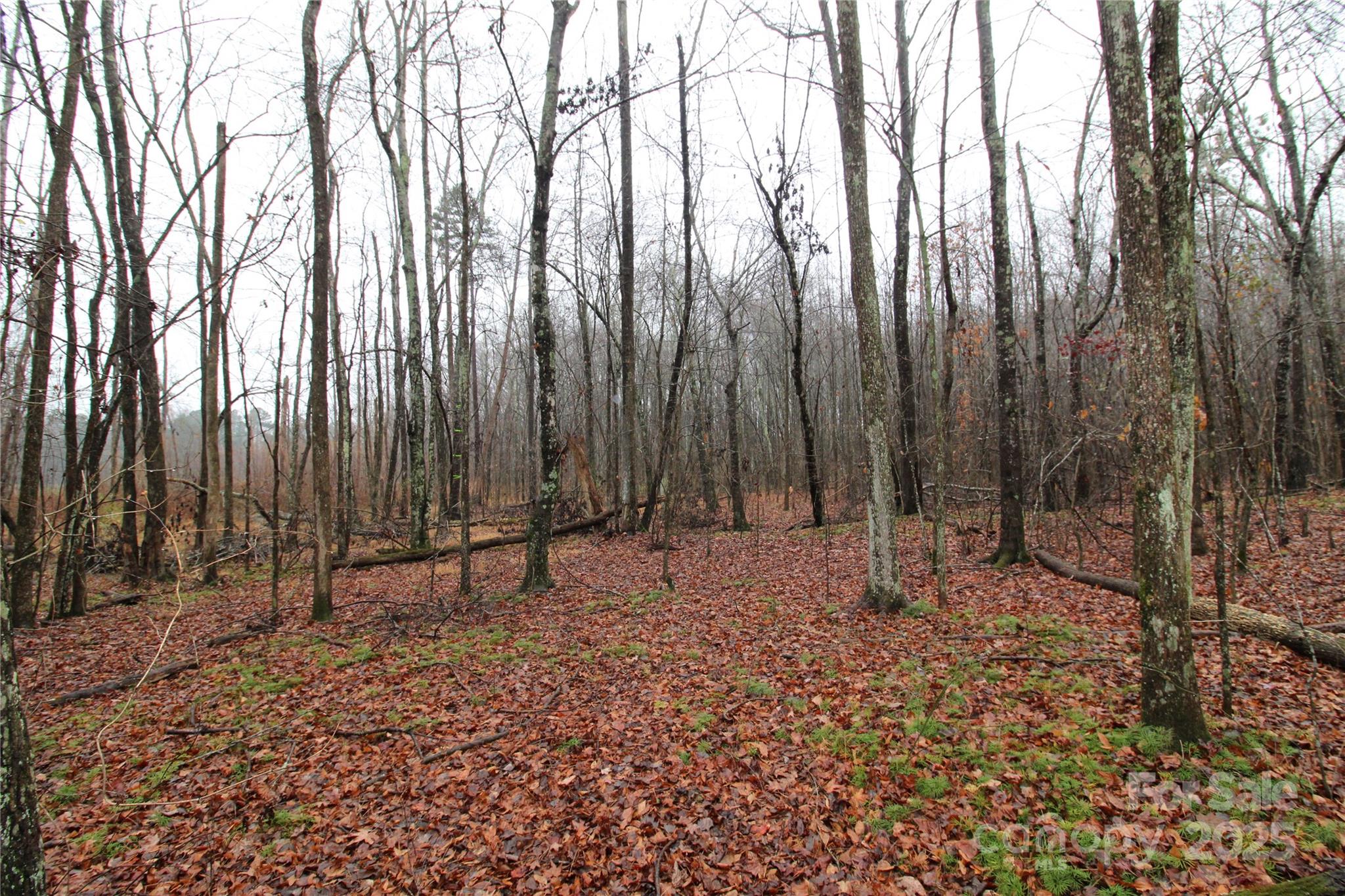 4.63+/-ac Eaker Road Lot 2 Property Photo 3
