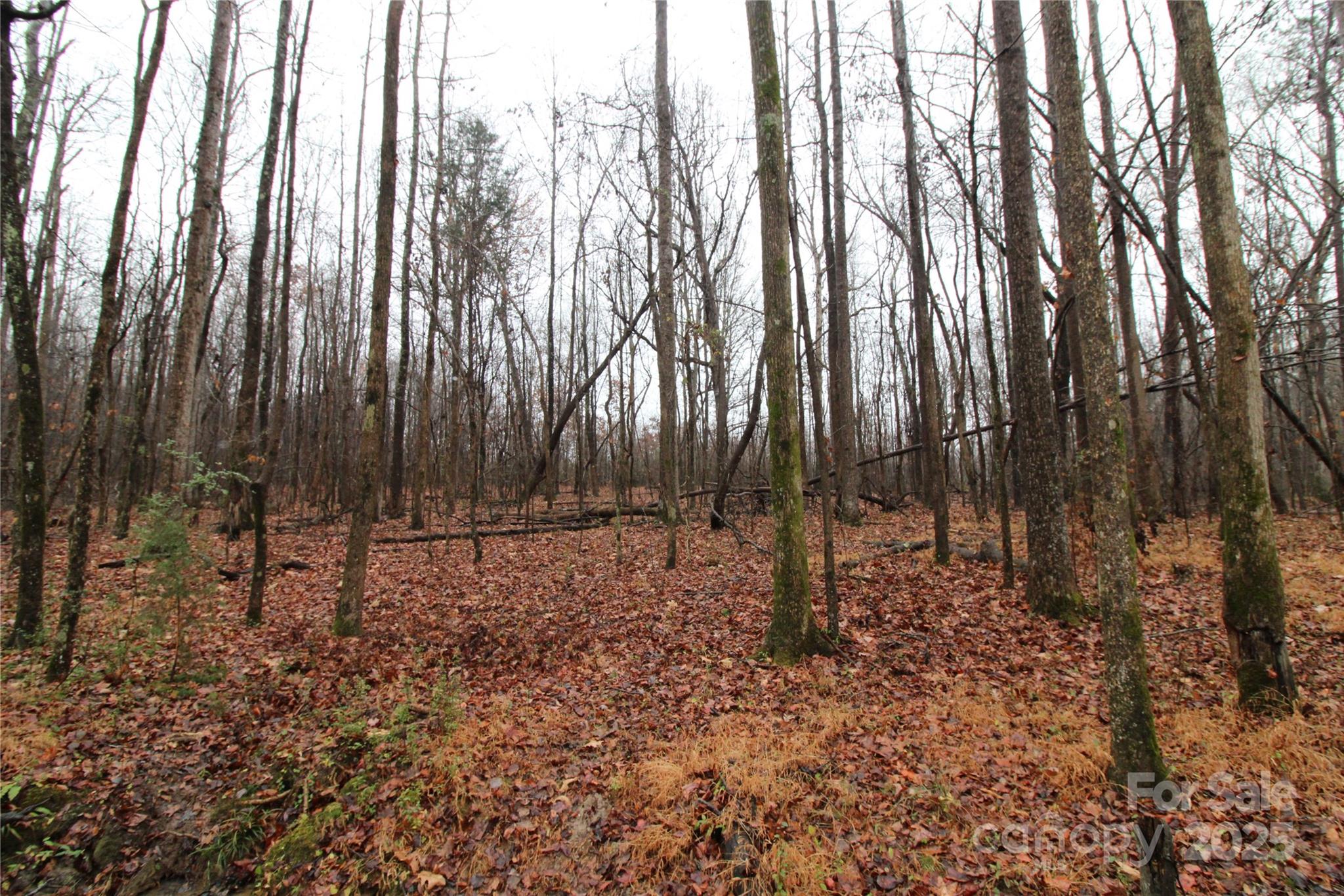 4.63+/-ac Eaker Road Lot 2 Property Photo 4