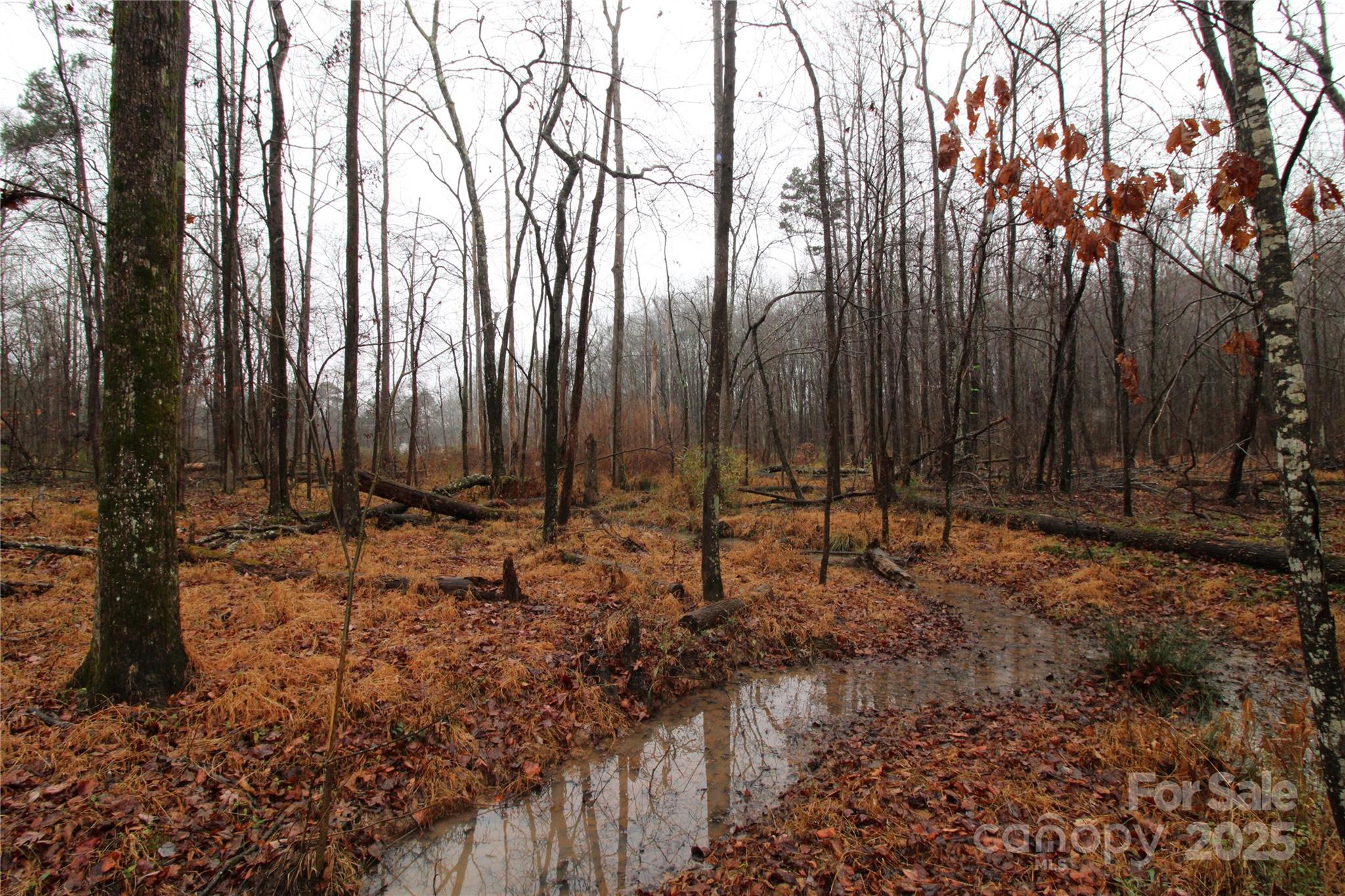 4.63+/-ac Eaker Road Lot 2 Property Photo 5